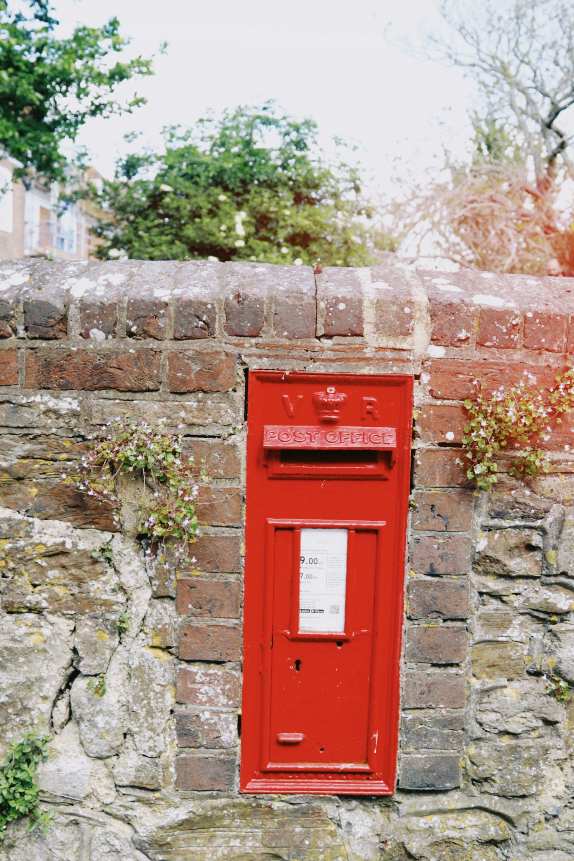 Photo by tanyabarrow