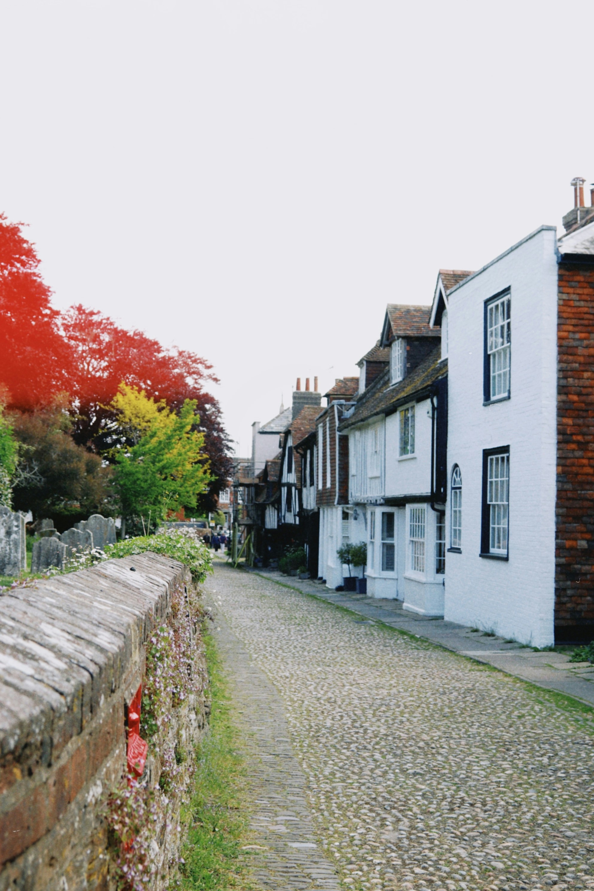 Photo by tanyabarrow