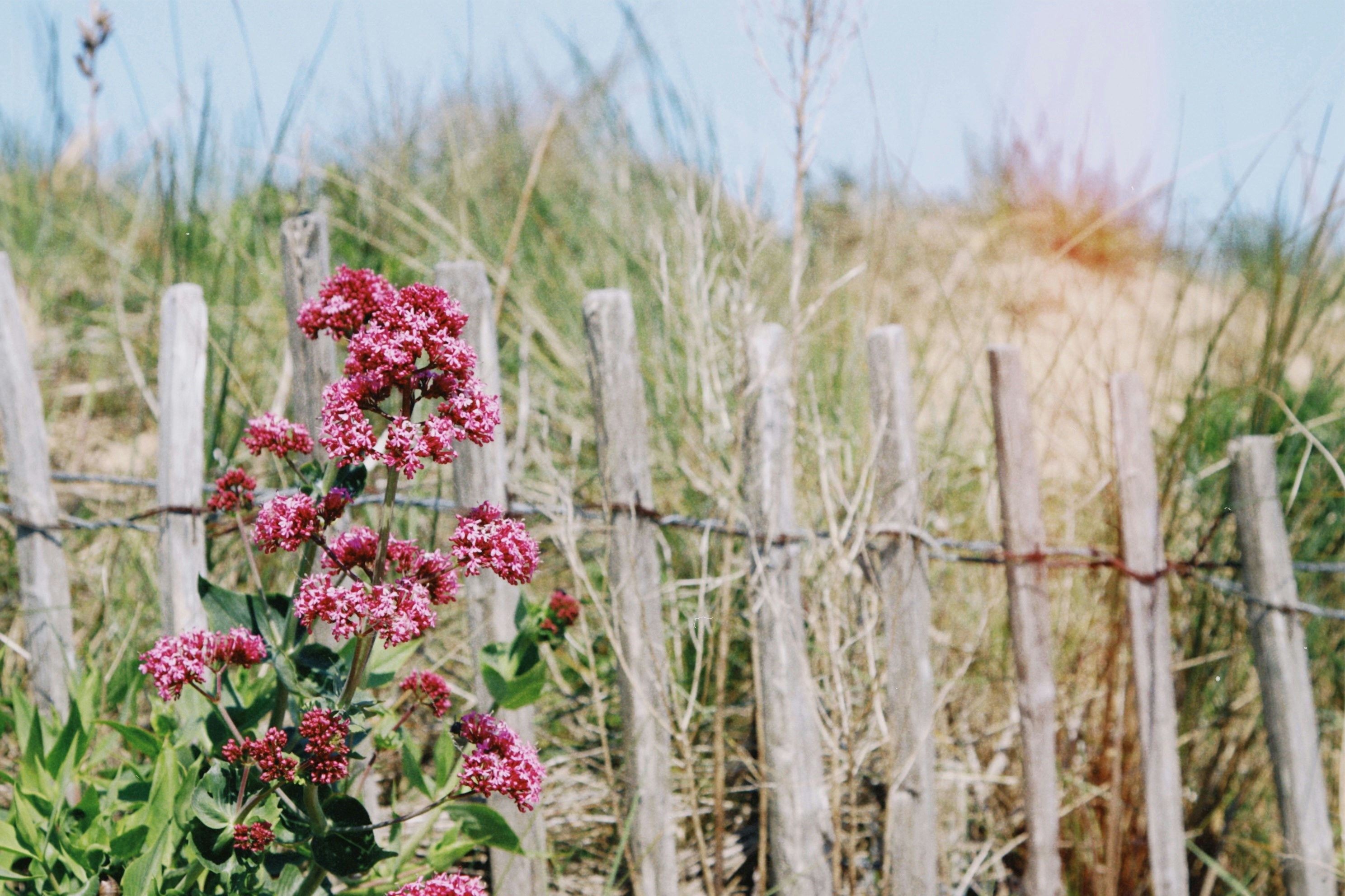 Photo by tanyabarrow