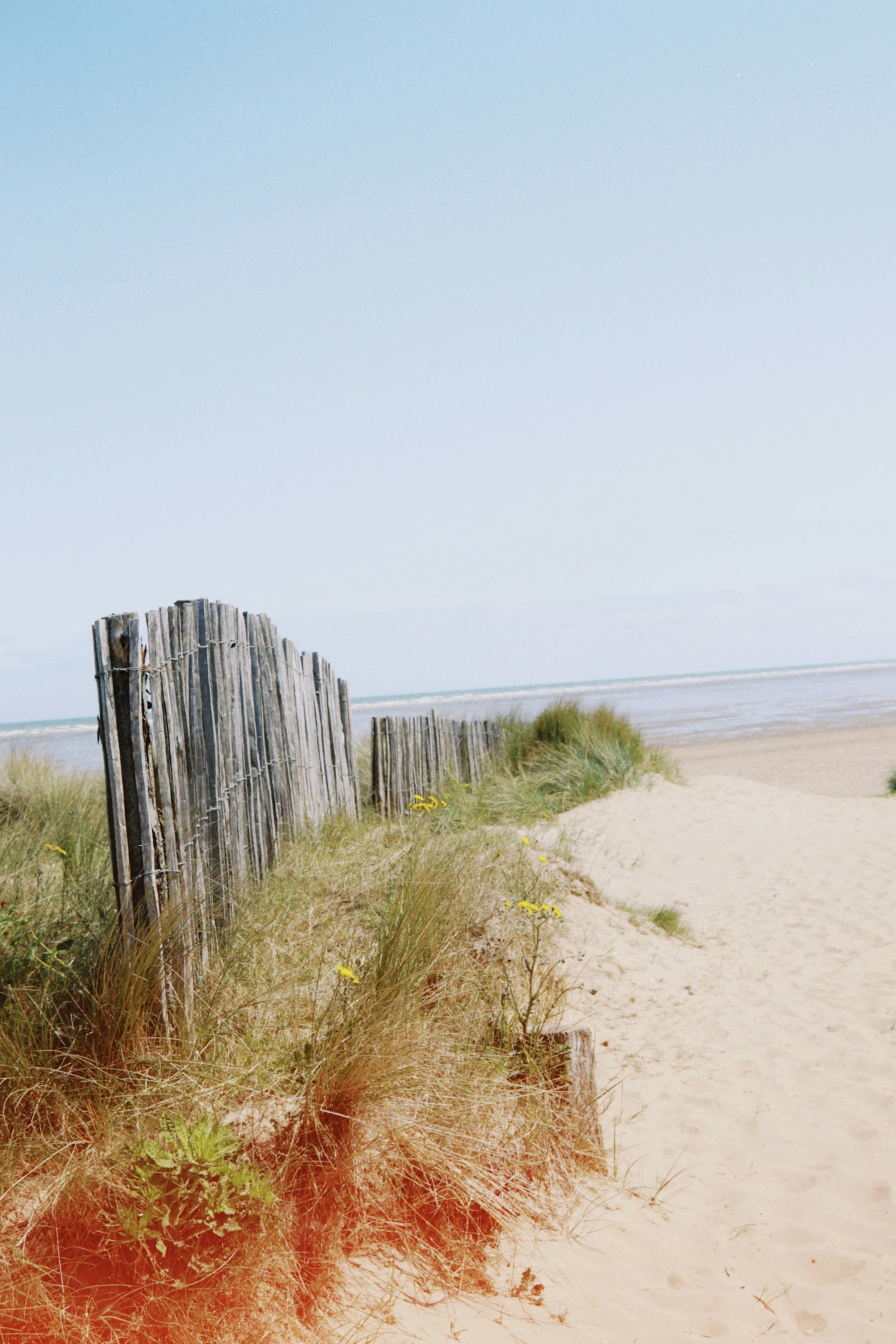 Photo by tanyabarrow