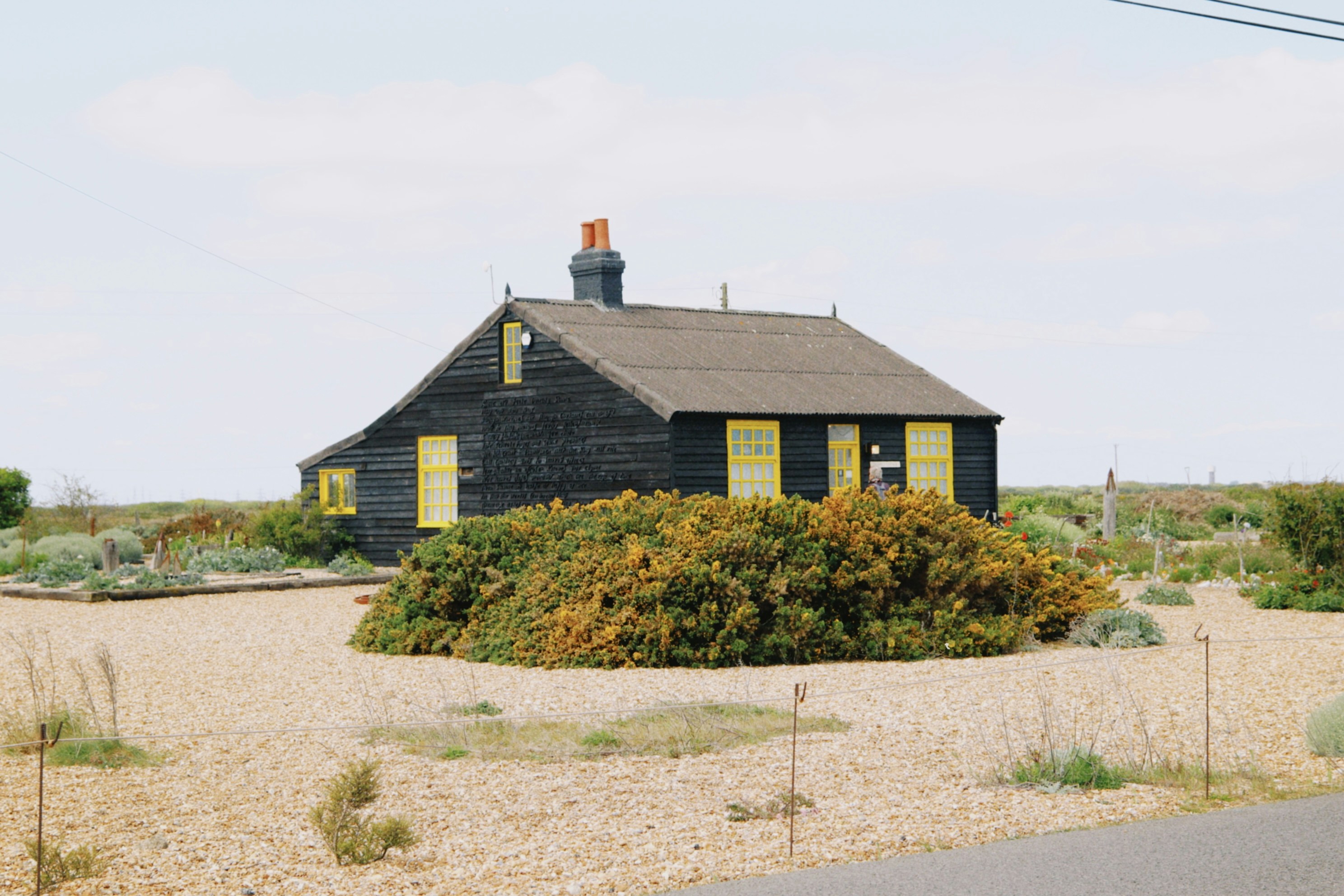 Photo by tanyabarrow