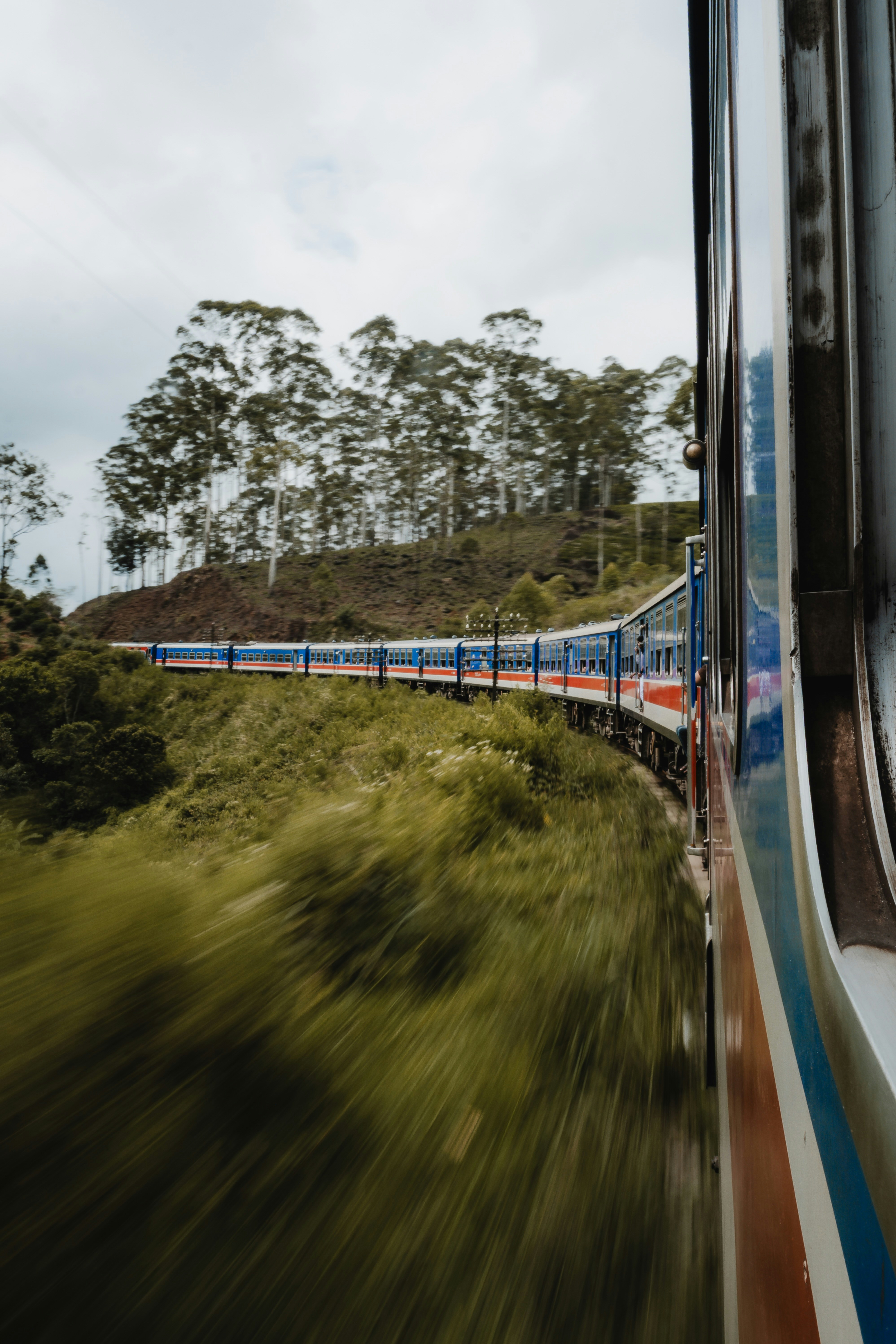 A train travels through a lush, green landscape.