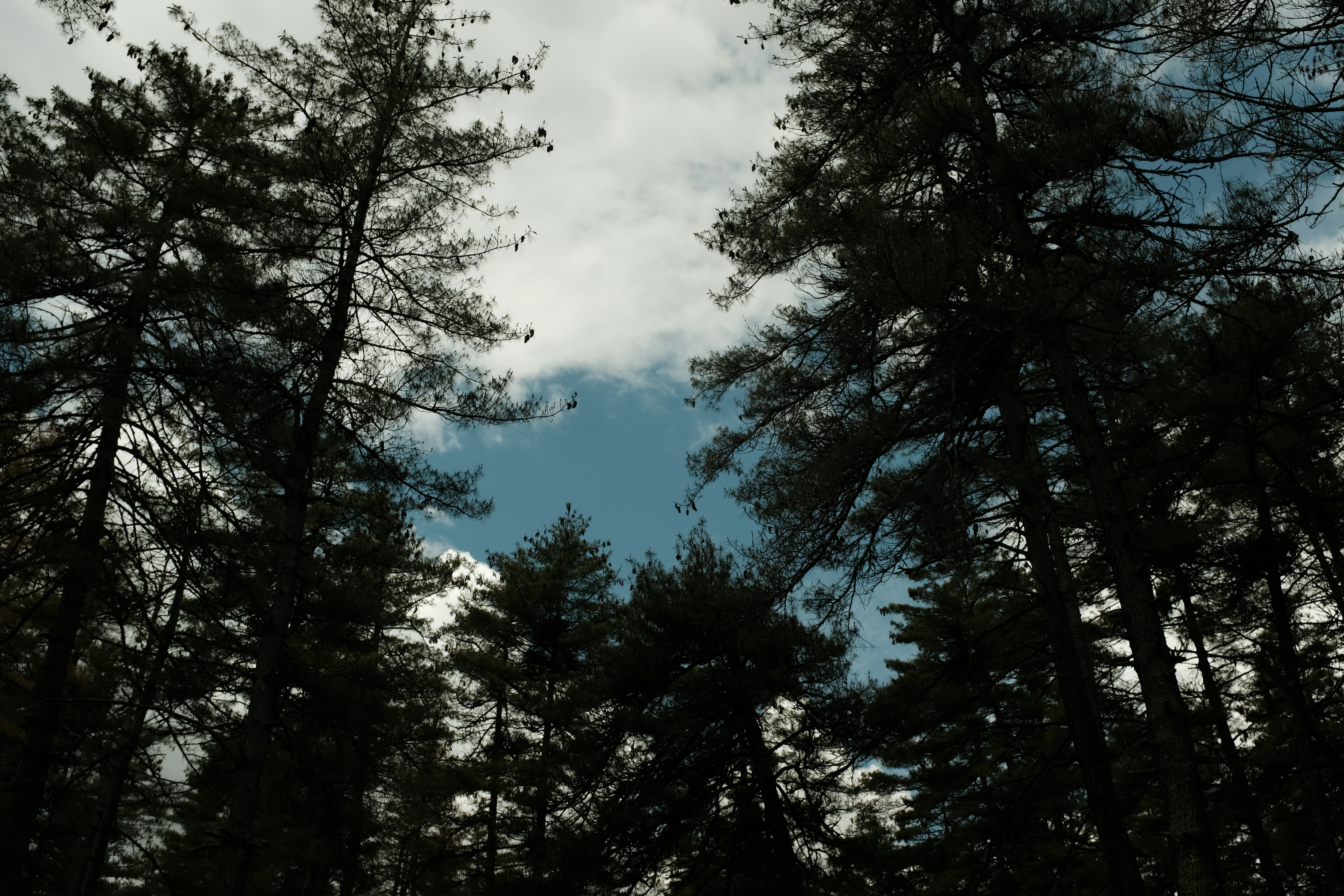 Photo by danishprakash