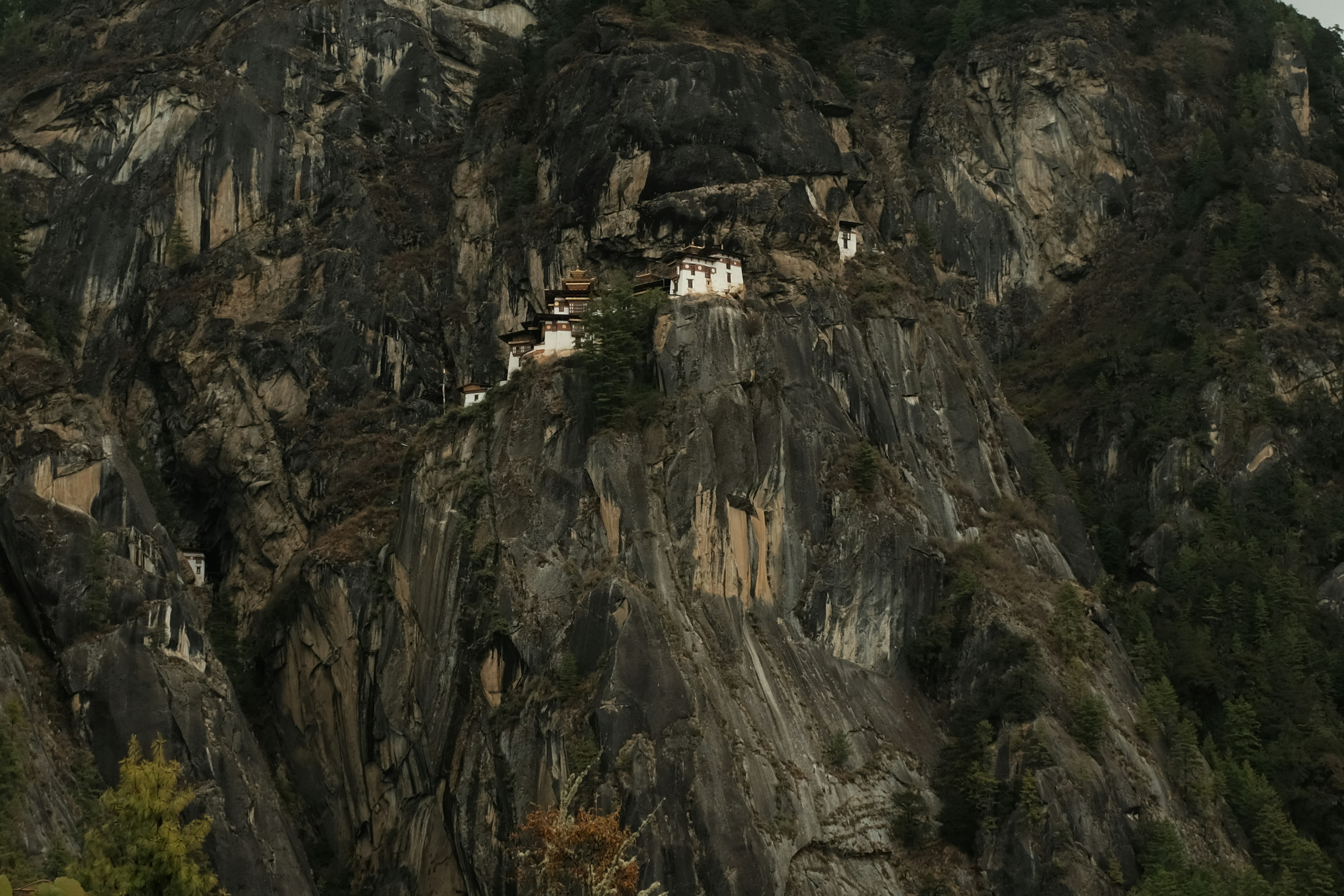 Photo by danishprakash