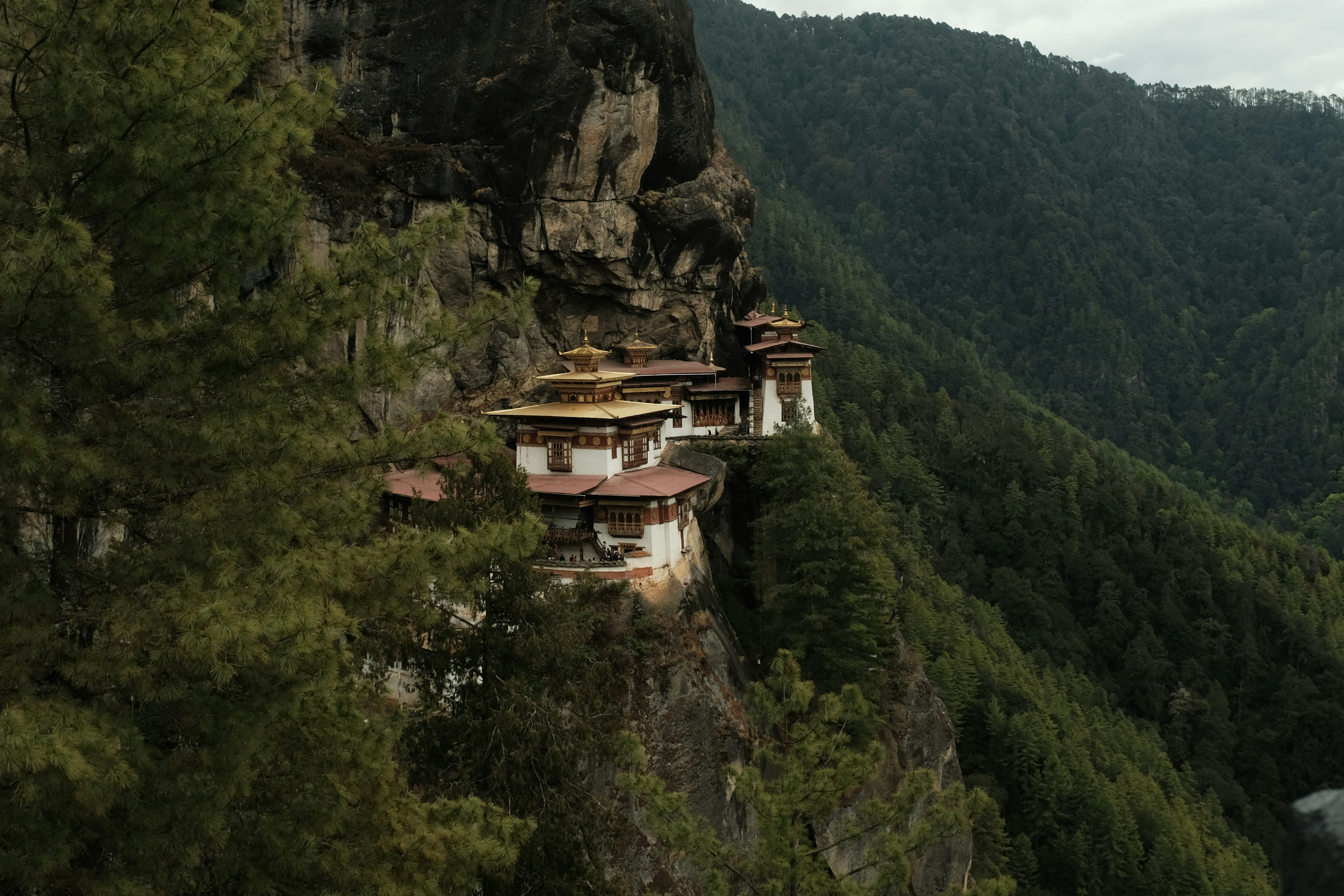 Photo by danishprakash