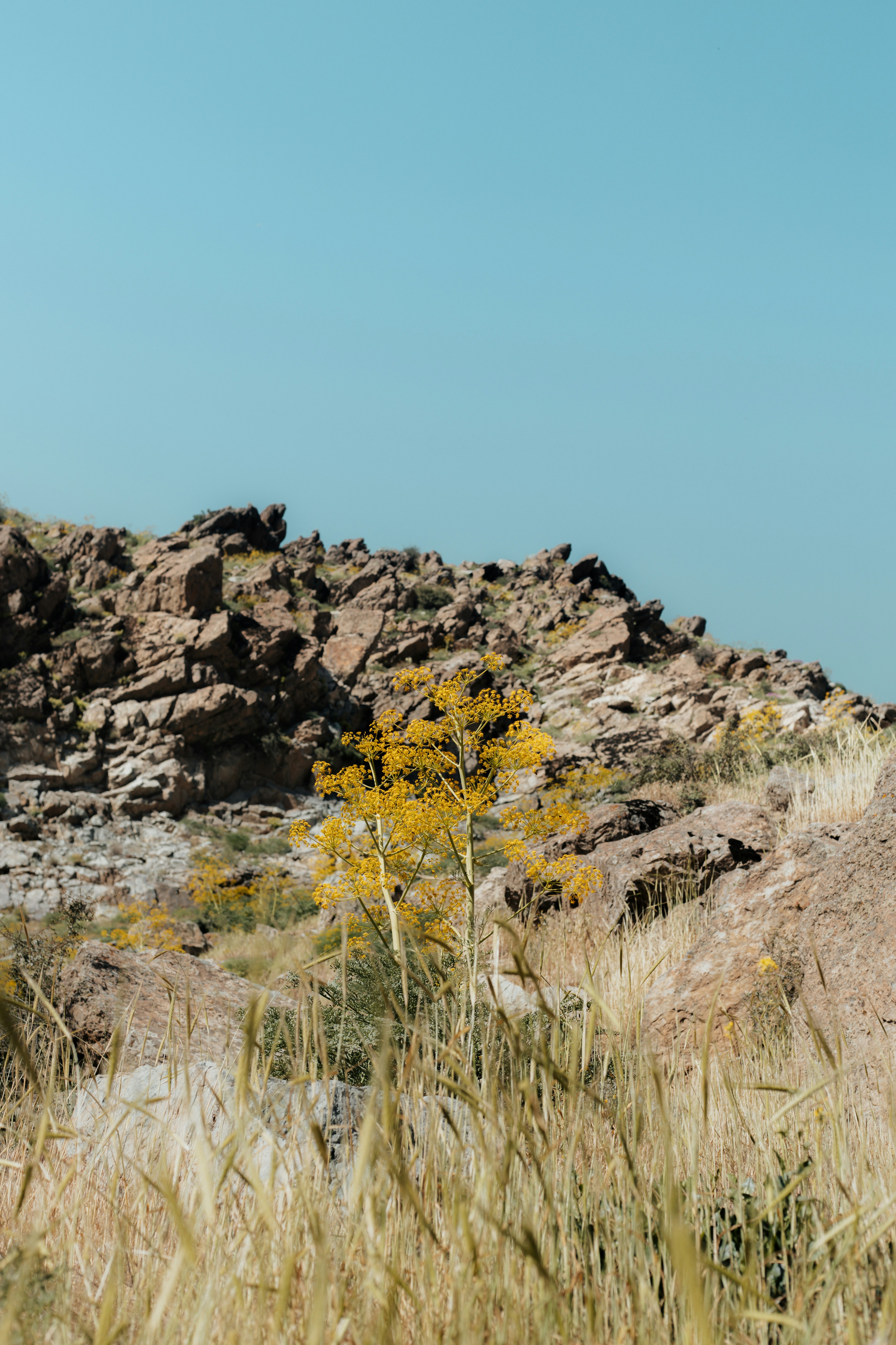 Photo by behy_studio