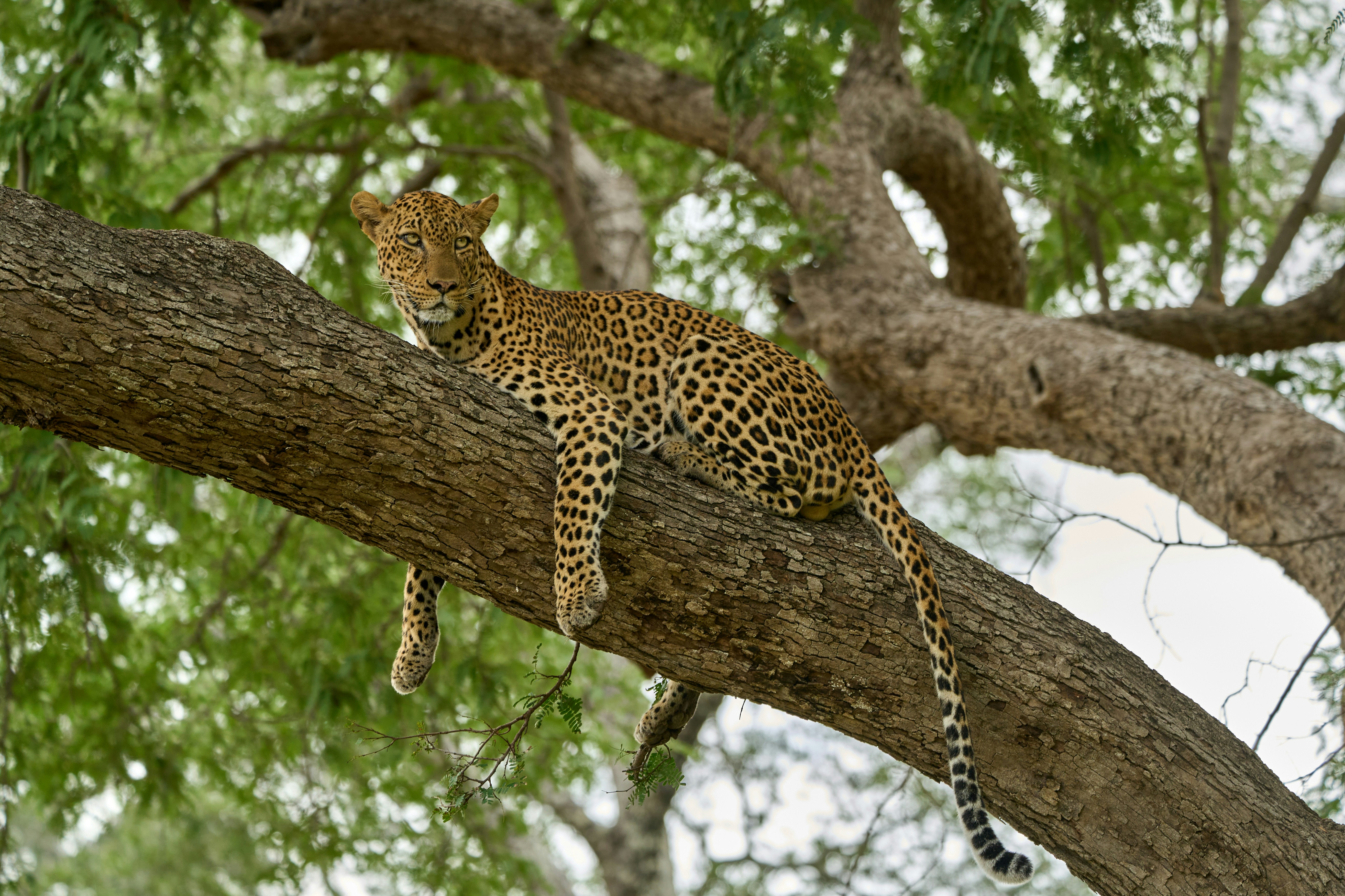 Photo by dmitrii_zhodzishskii