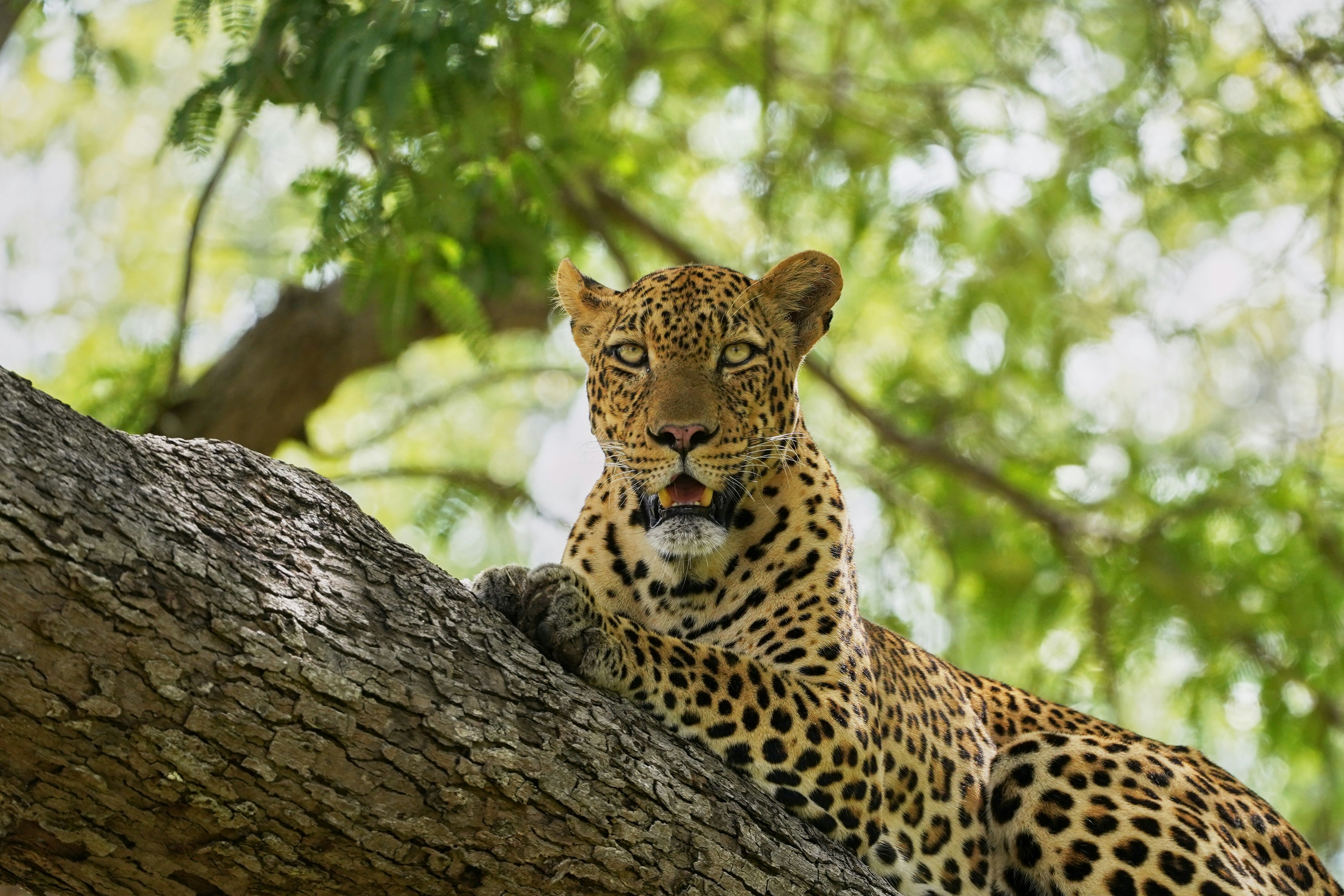 Photo by dmitrii_zhodzishskii