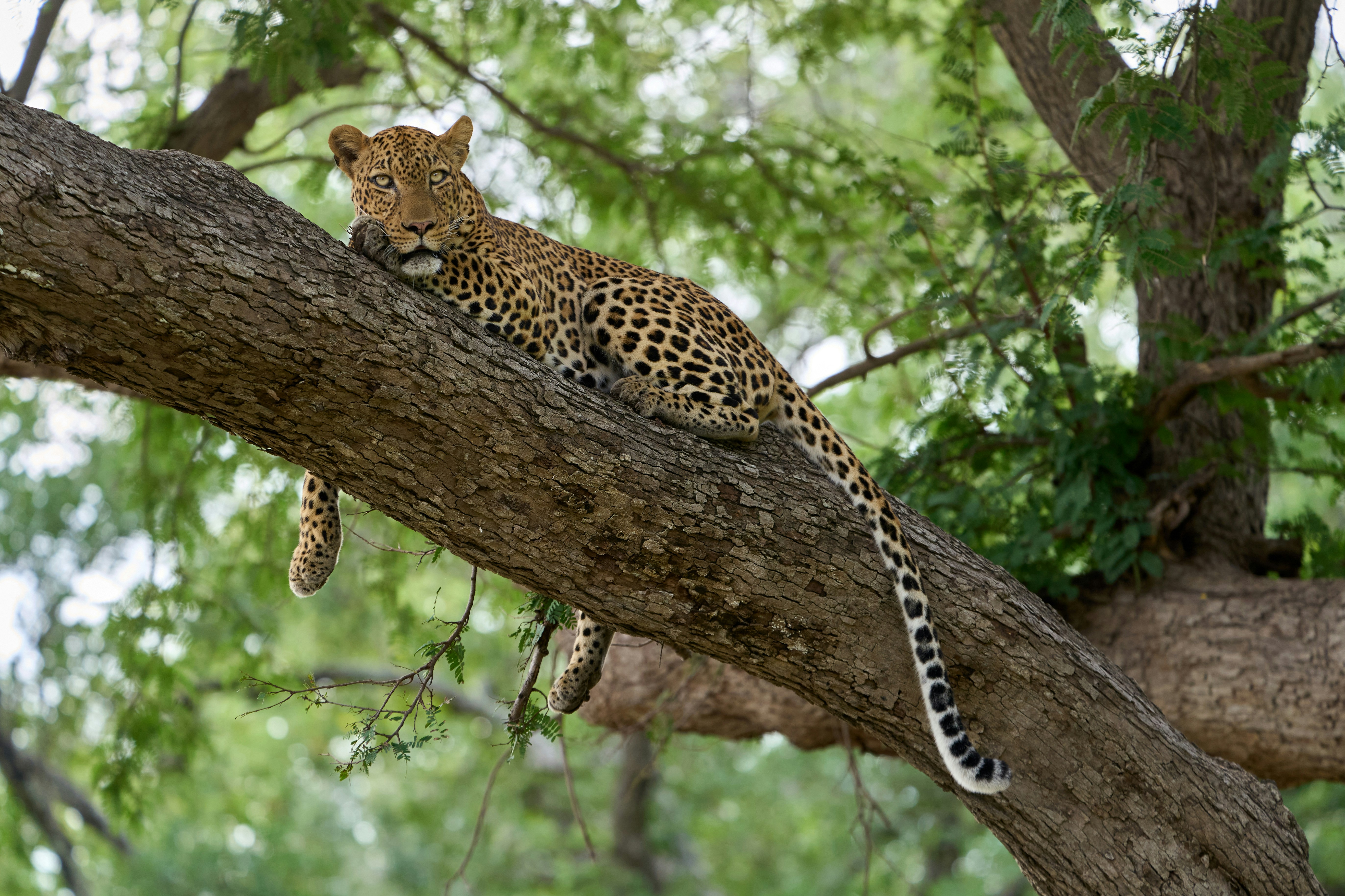 Photo by dmitrii_zhodzishskii