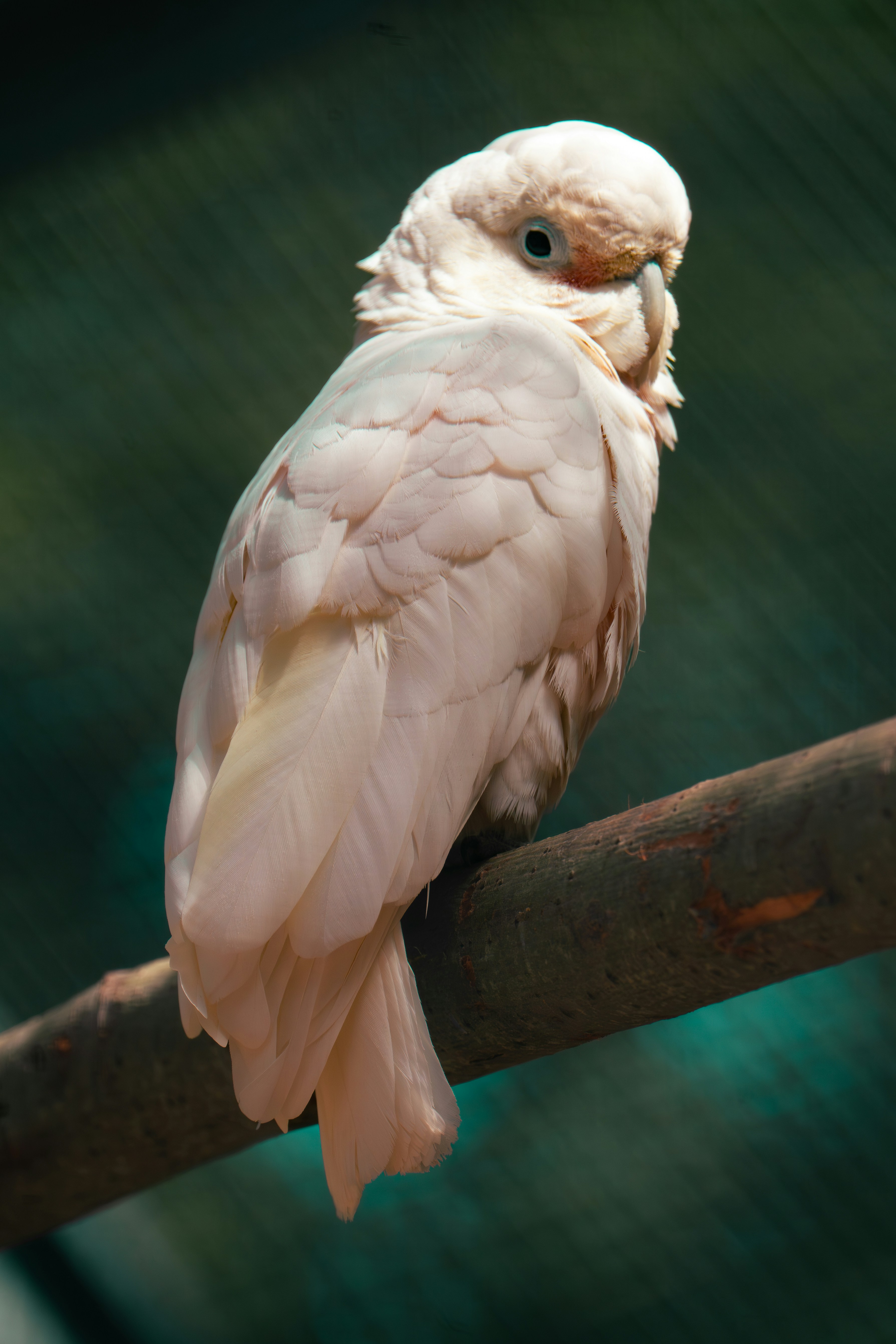 Photo by breadcrumbs