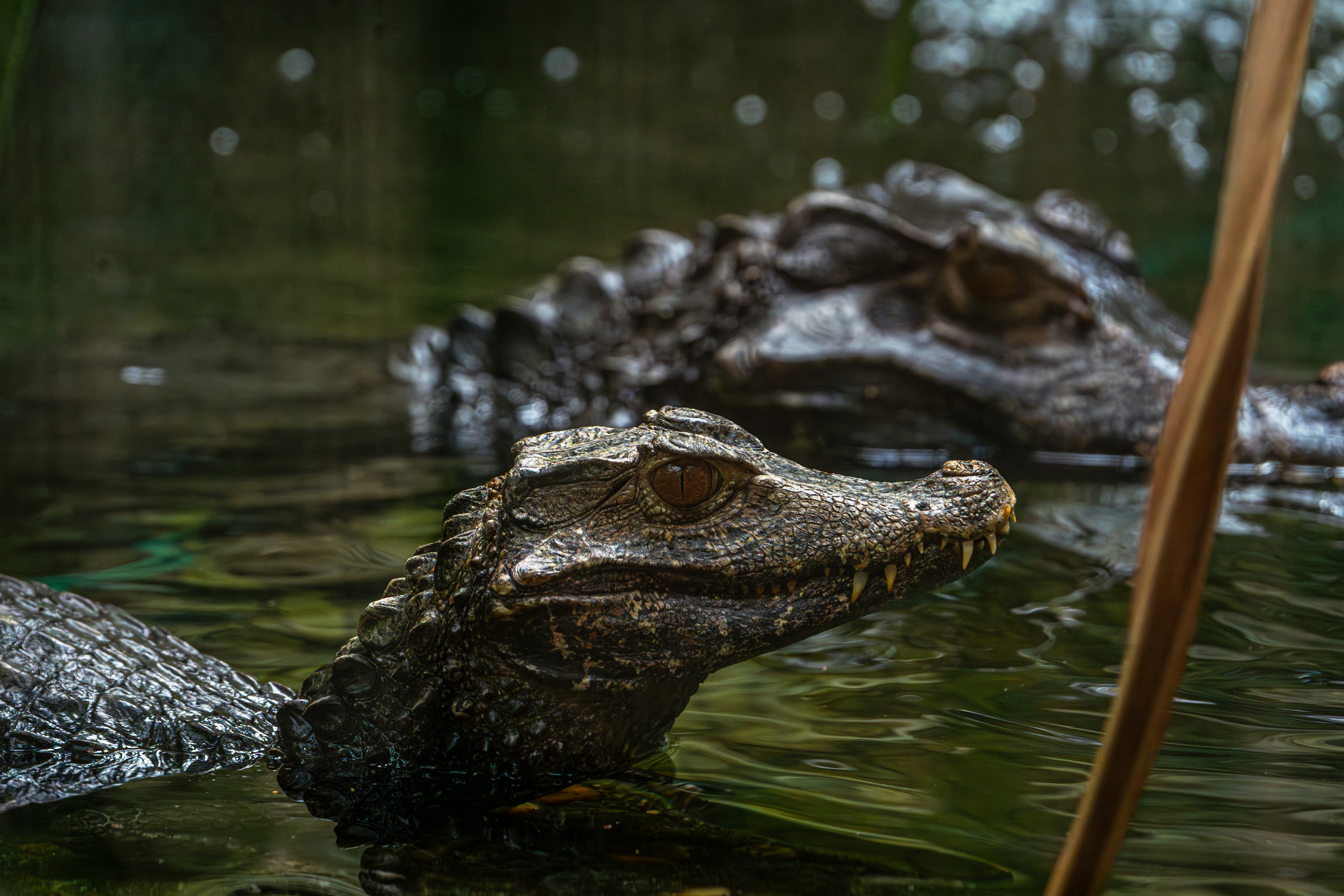 Photo by breadcrumbs