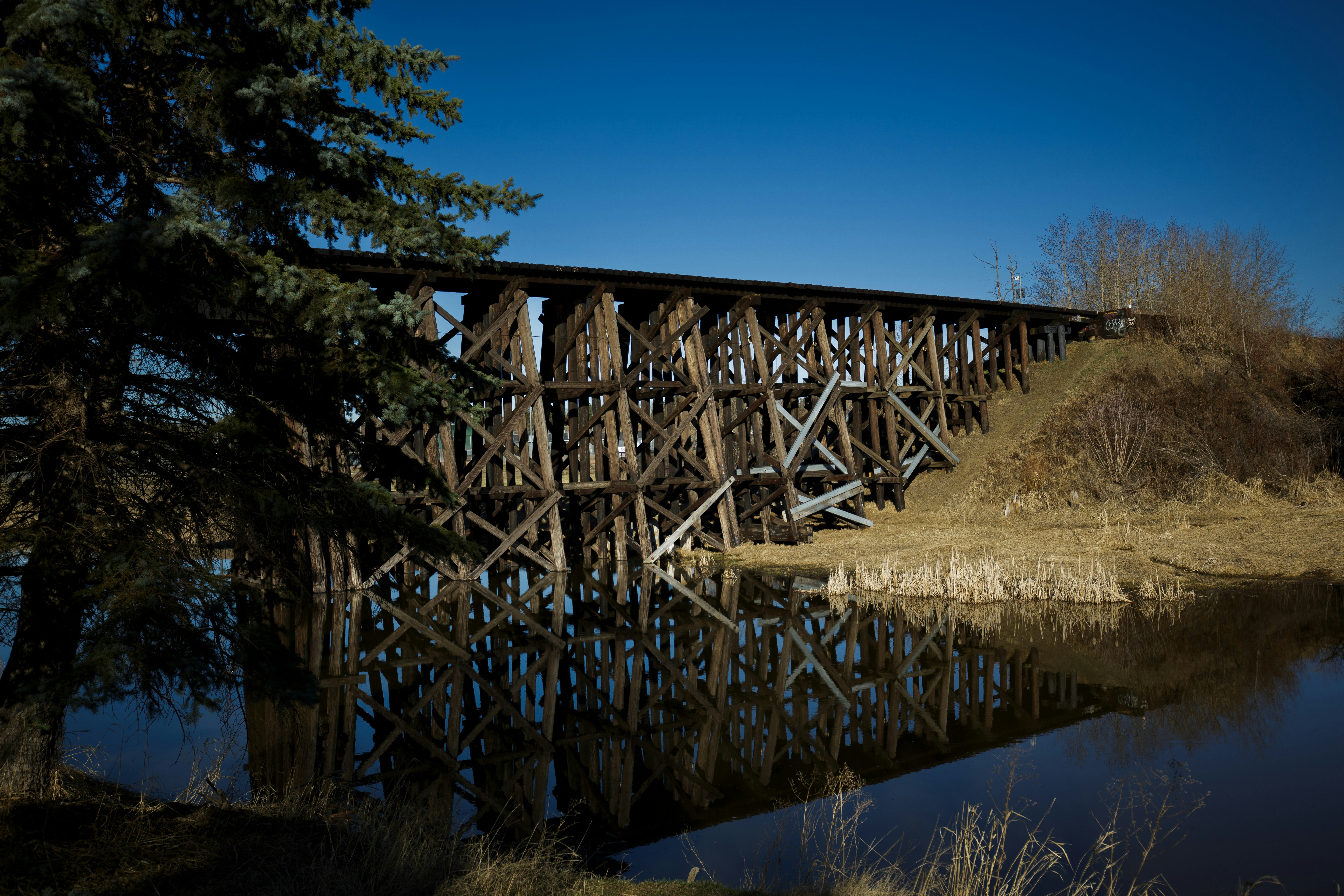 Photo by rahphotography