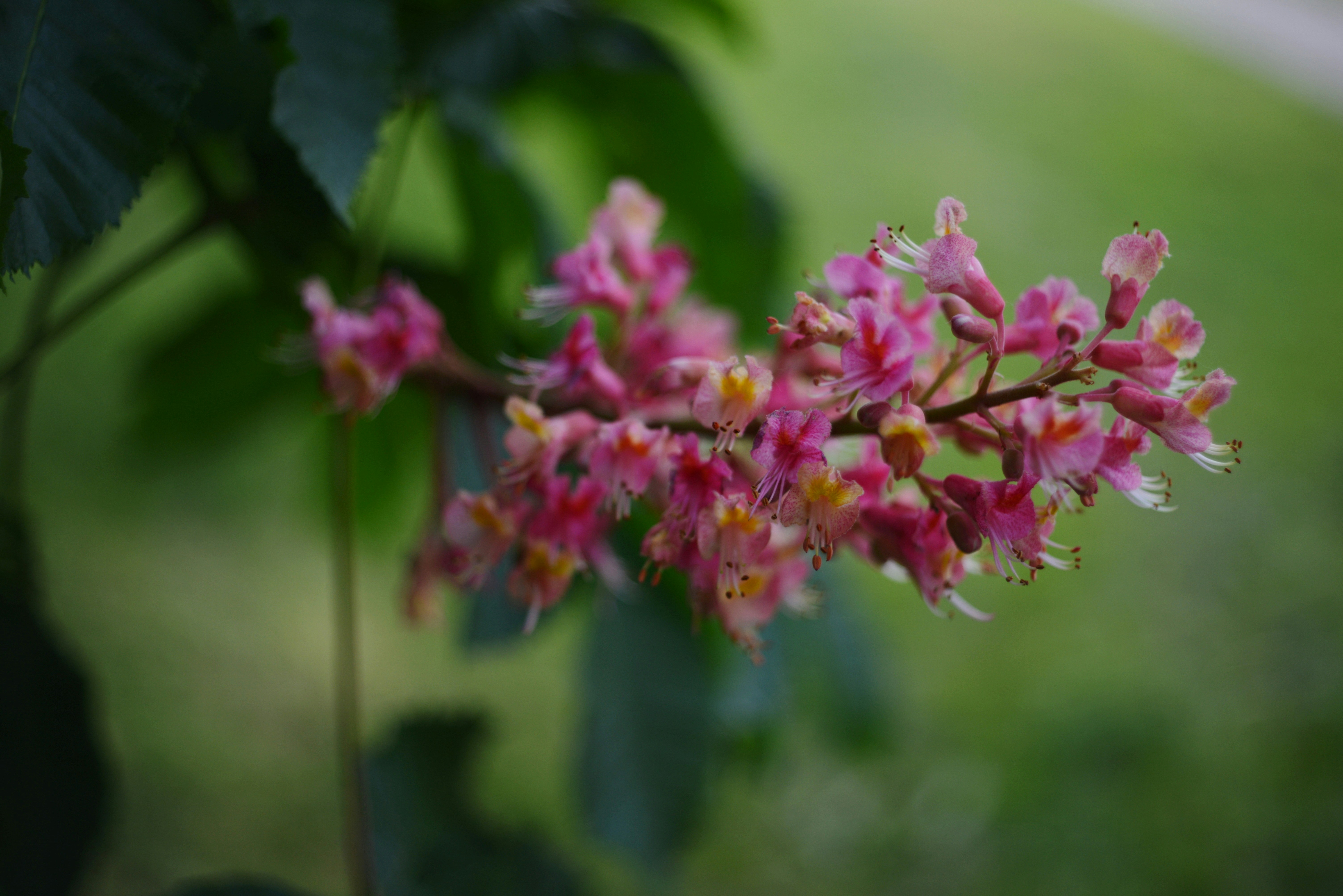 Photo by cherstve_pechivo