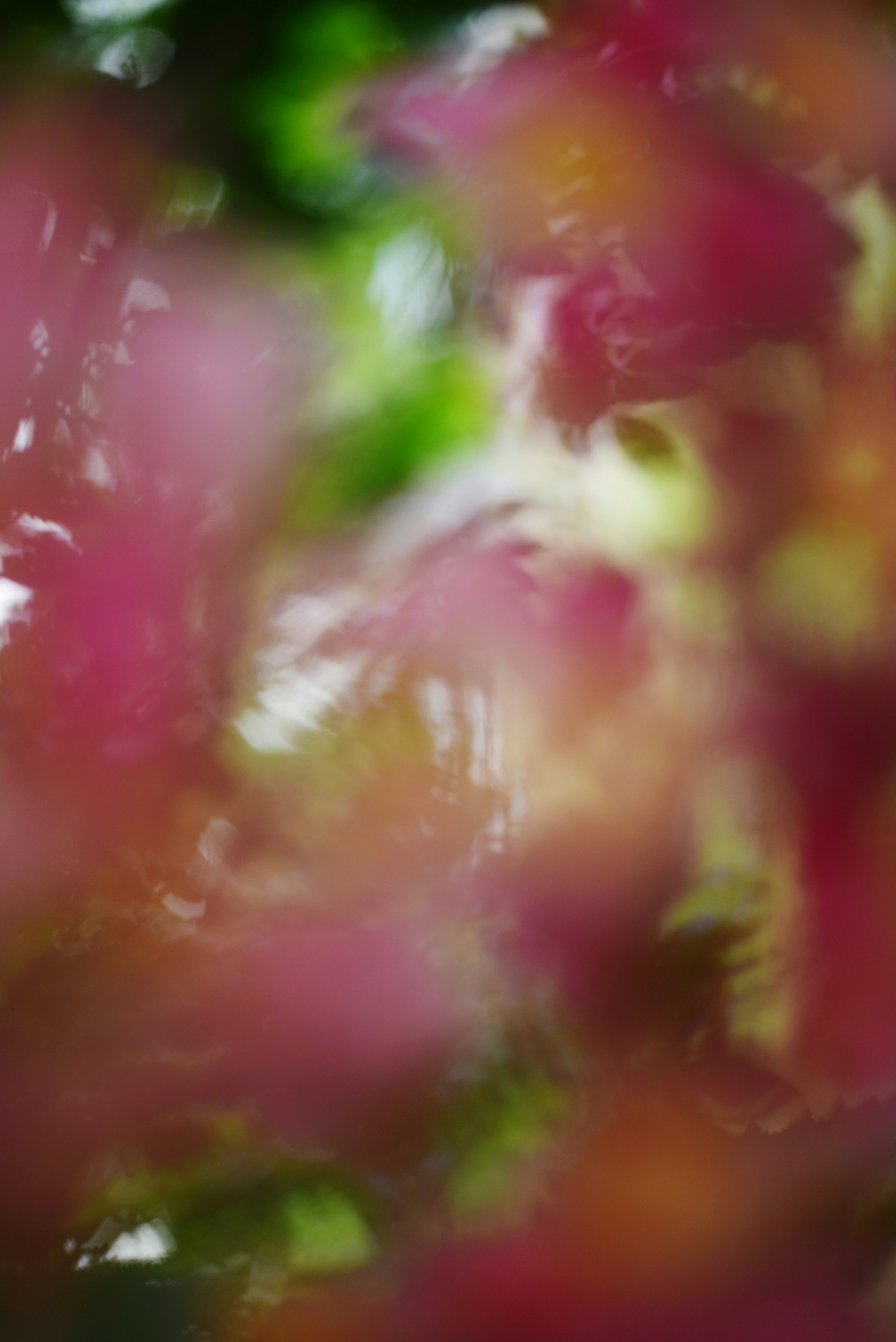 Photo by cherstve_pechivo