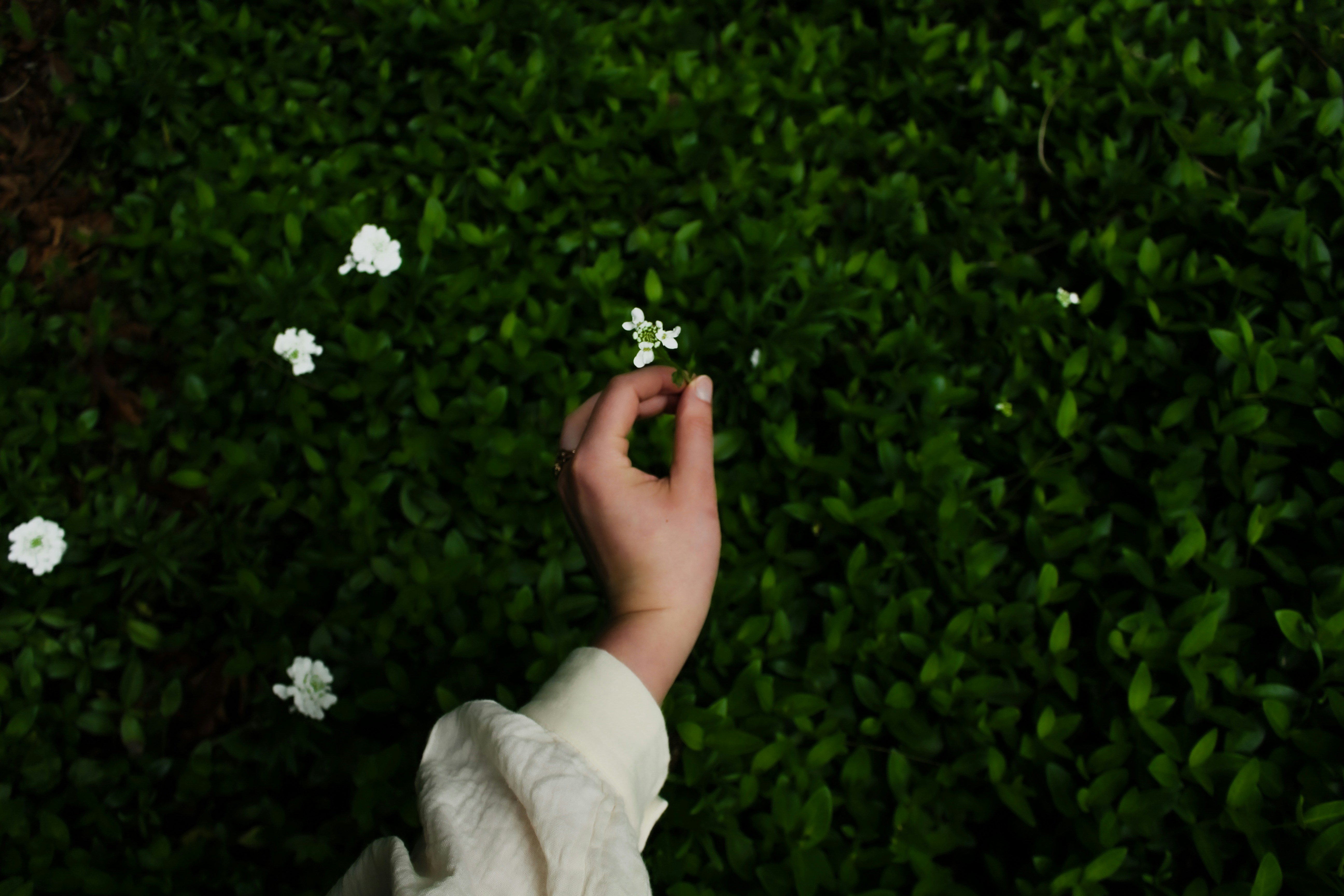 Photo by brightdesigns