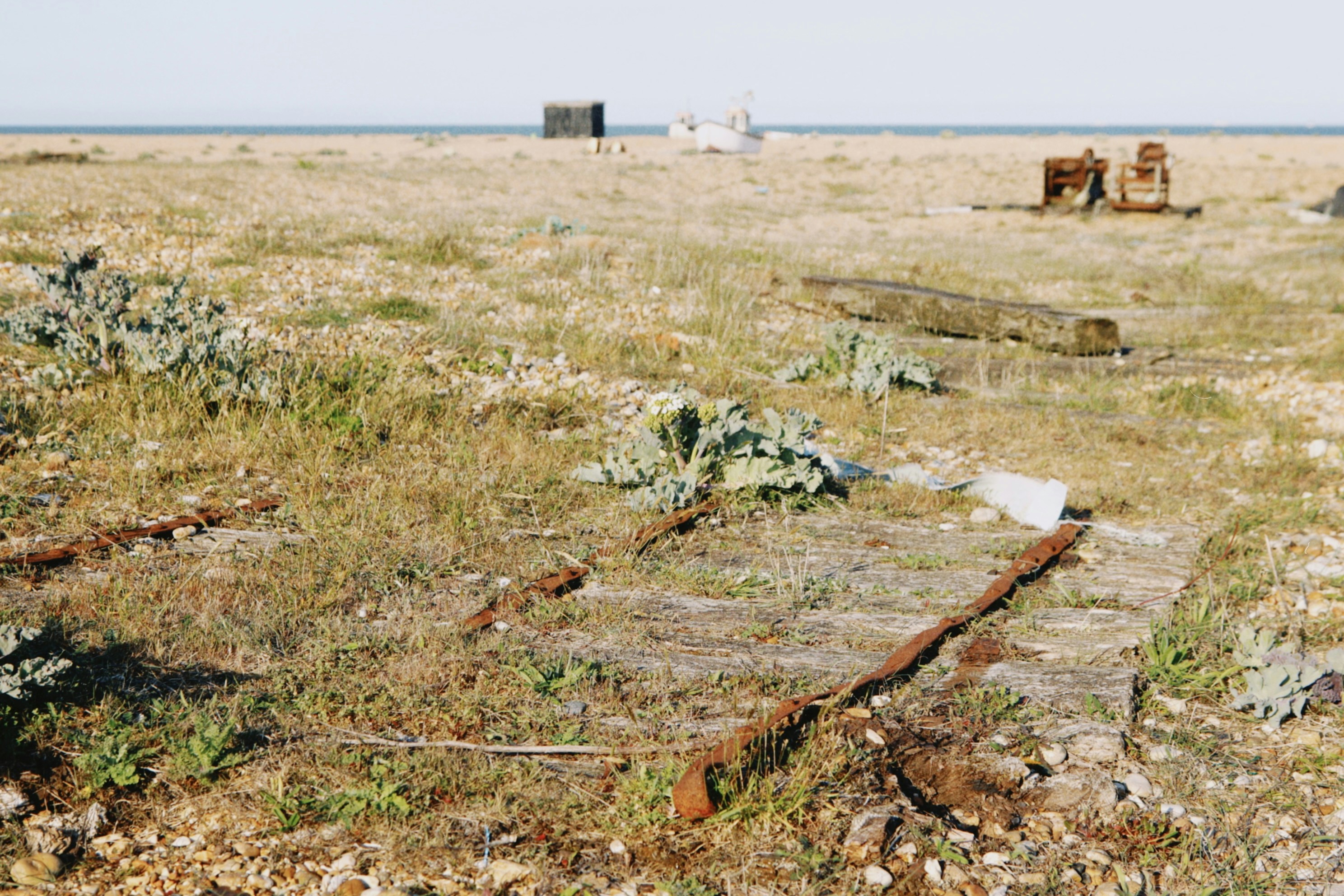 Photo by tanyabarrow