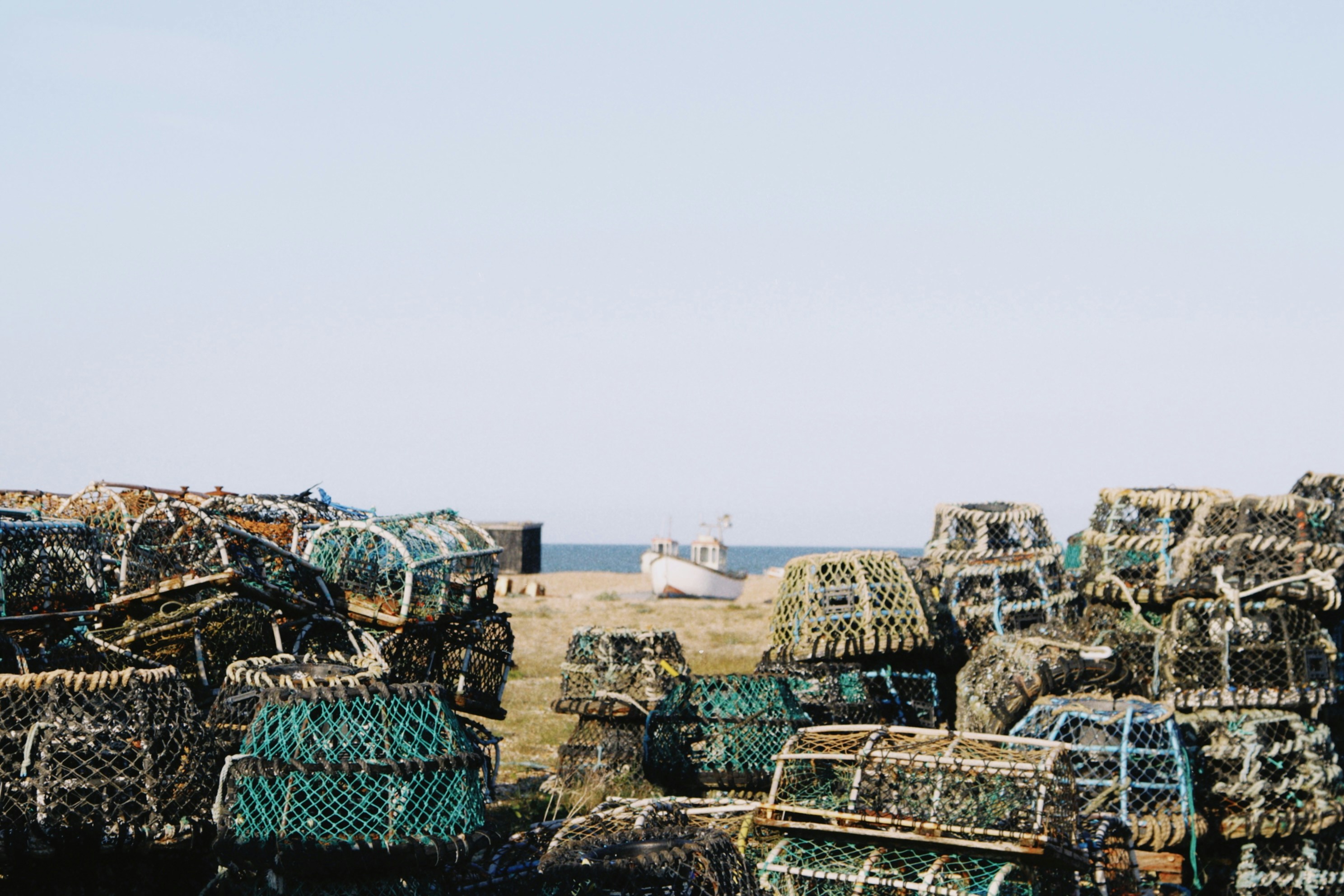 Photo by tanyabarrow