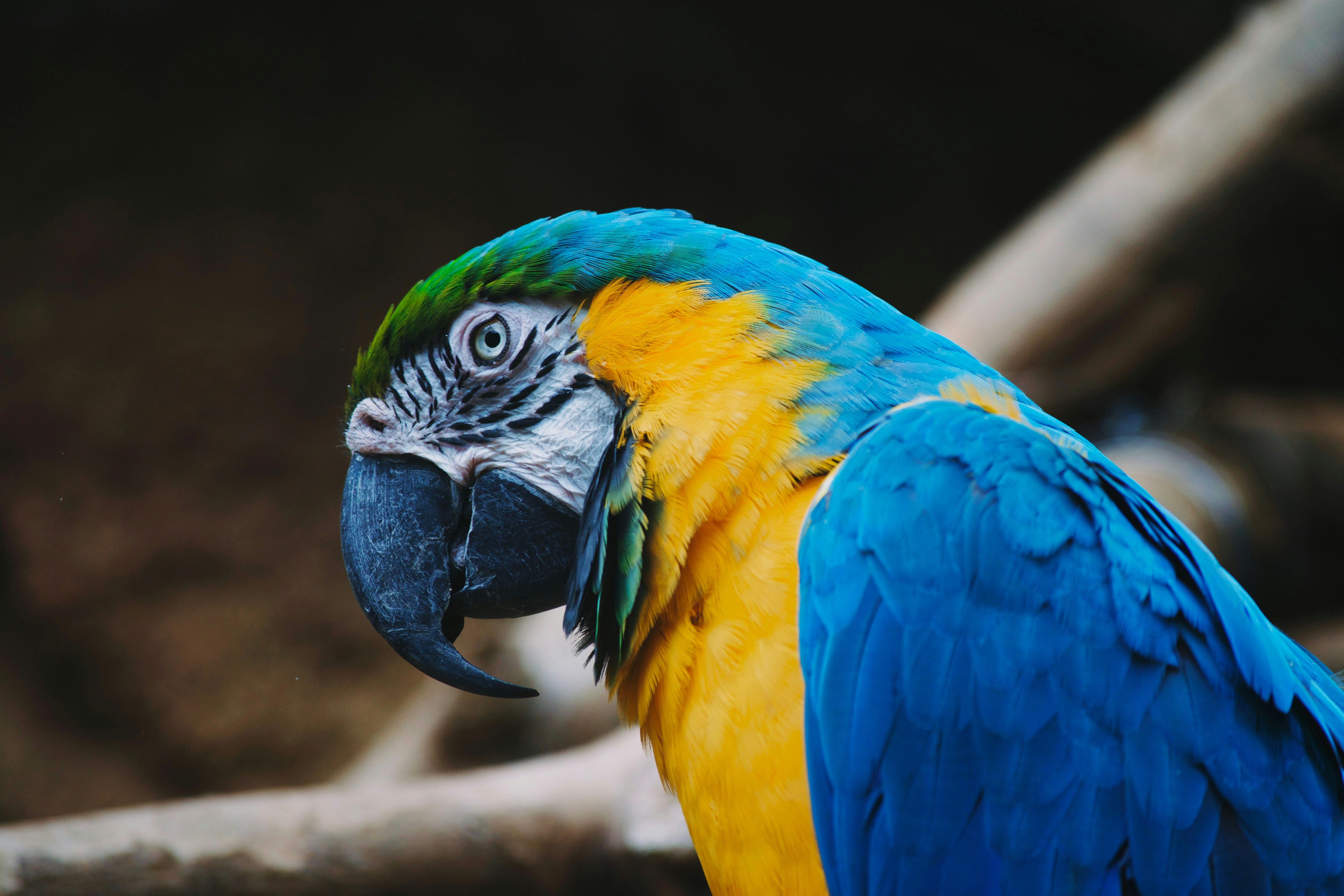 Photo by marshalliden124