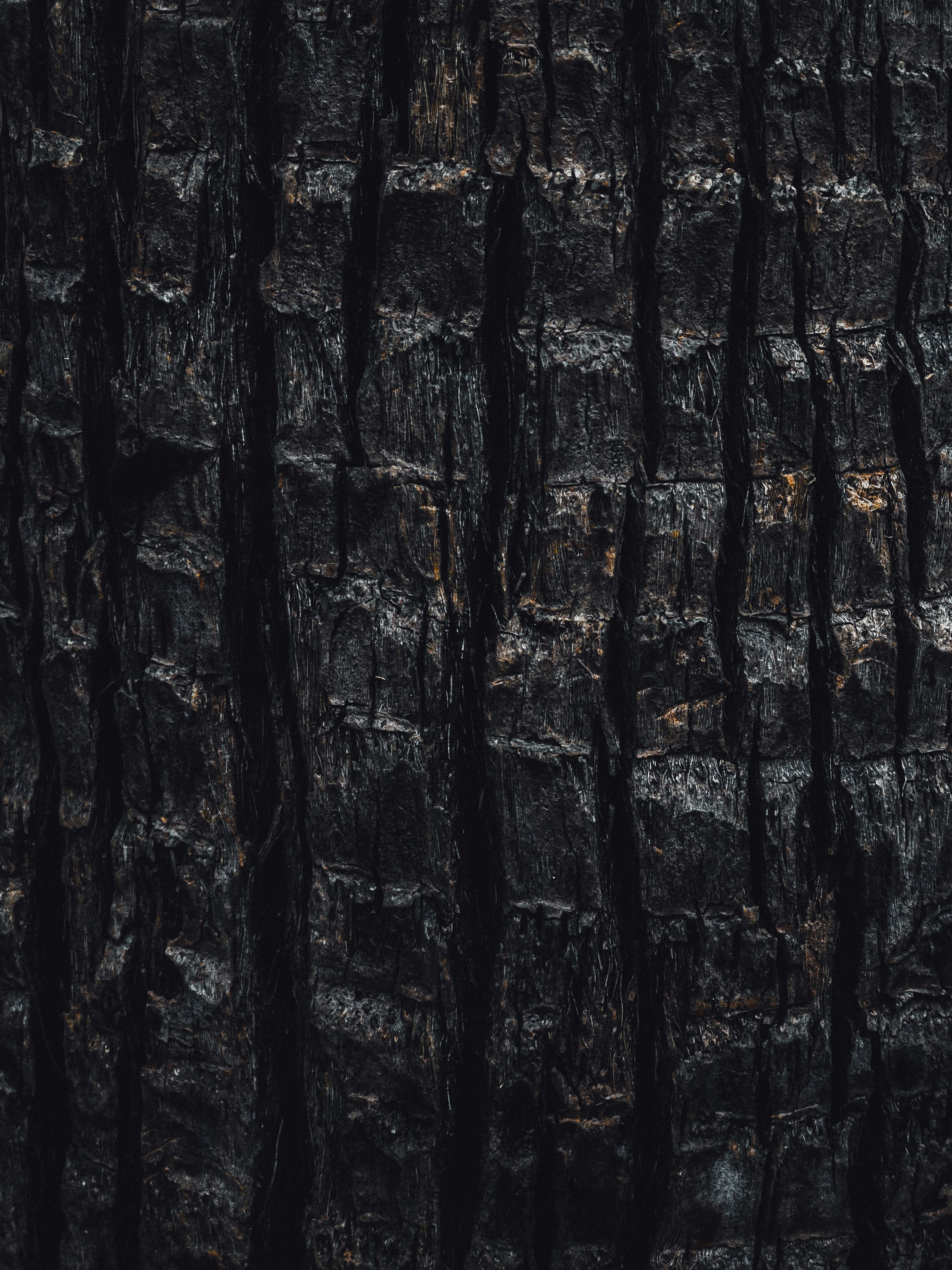 Photo by amritanshdubey