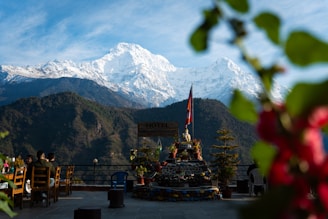 Snow-capped mountain seen through blurry foreground.