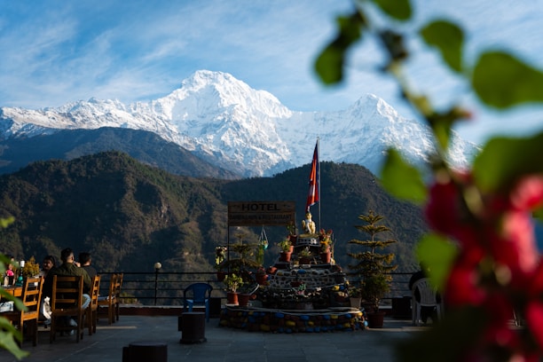 Snow-capped mountain seen through blurry foreground.
