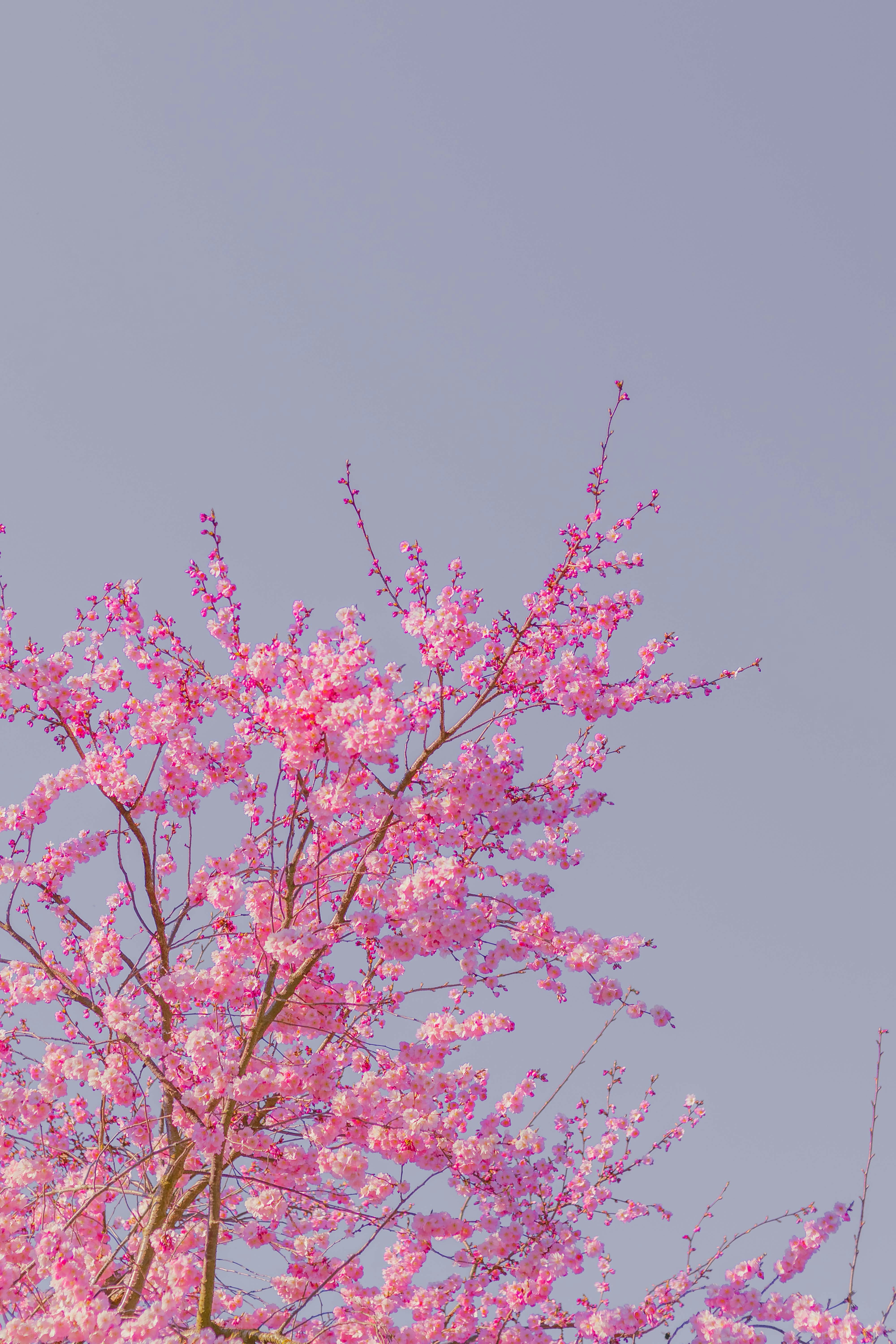 Photo by arlindphotography