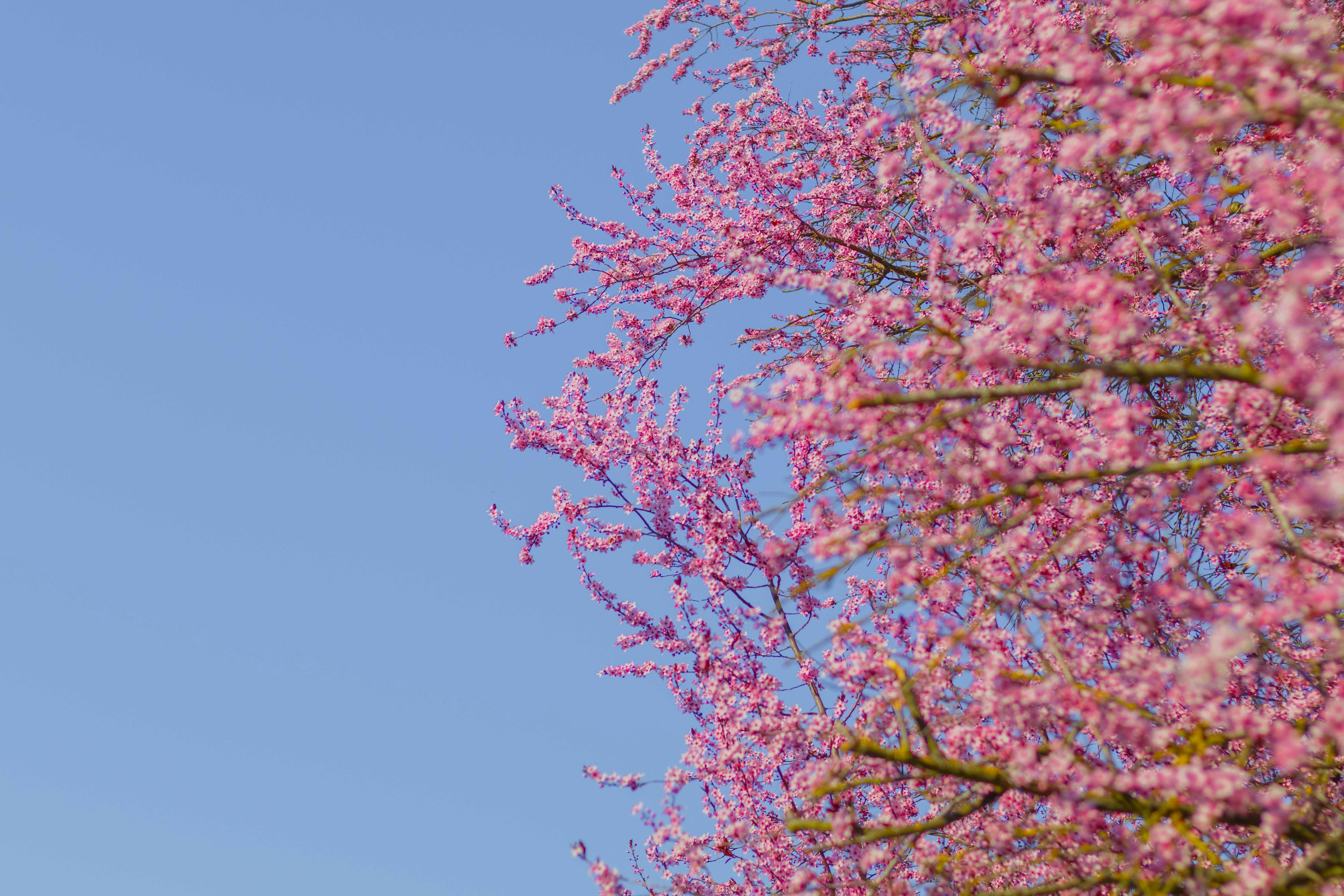 Photo by arlindphotography