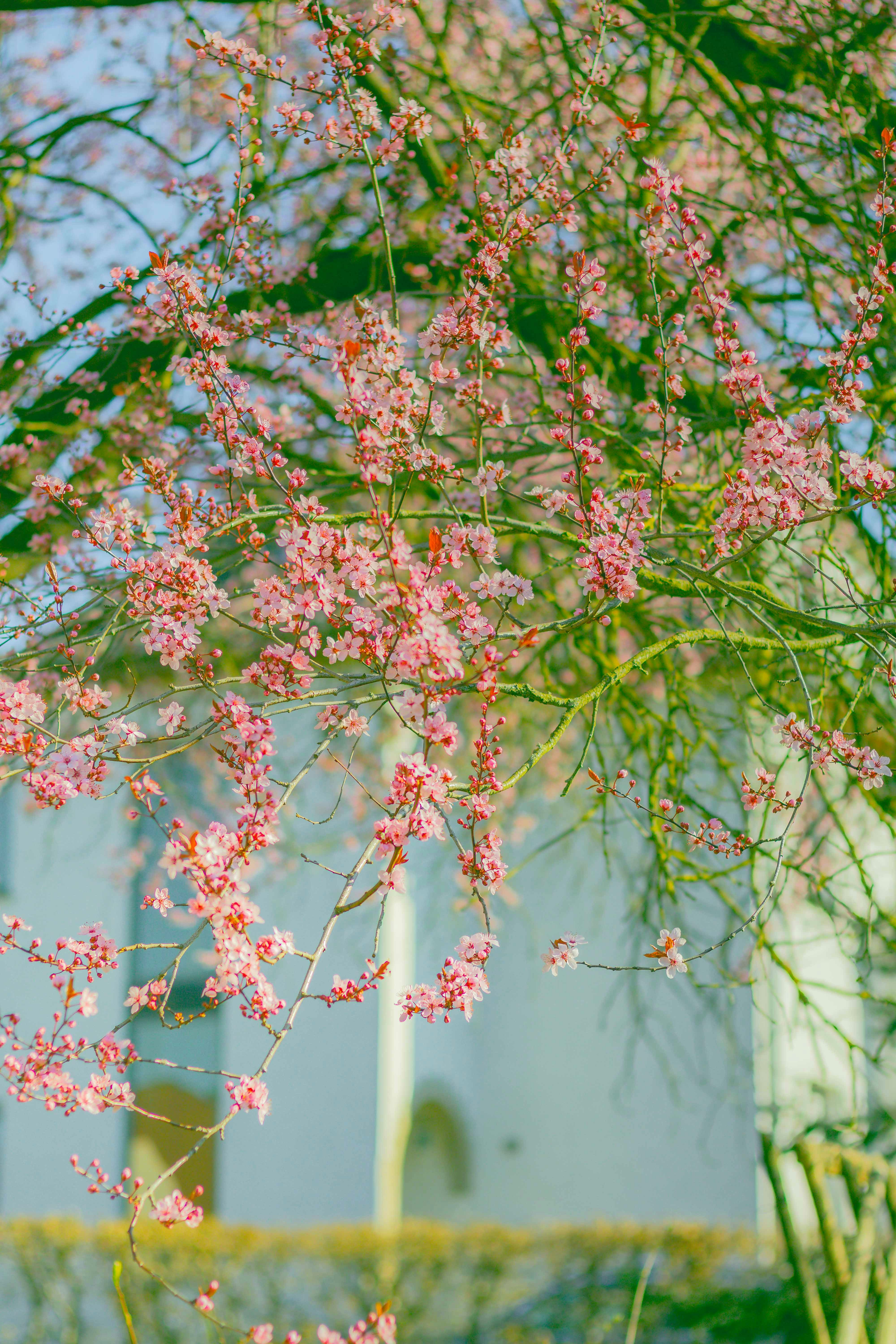 Photo by arlindphotography