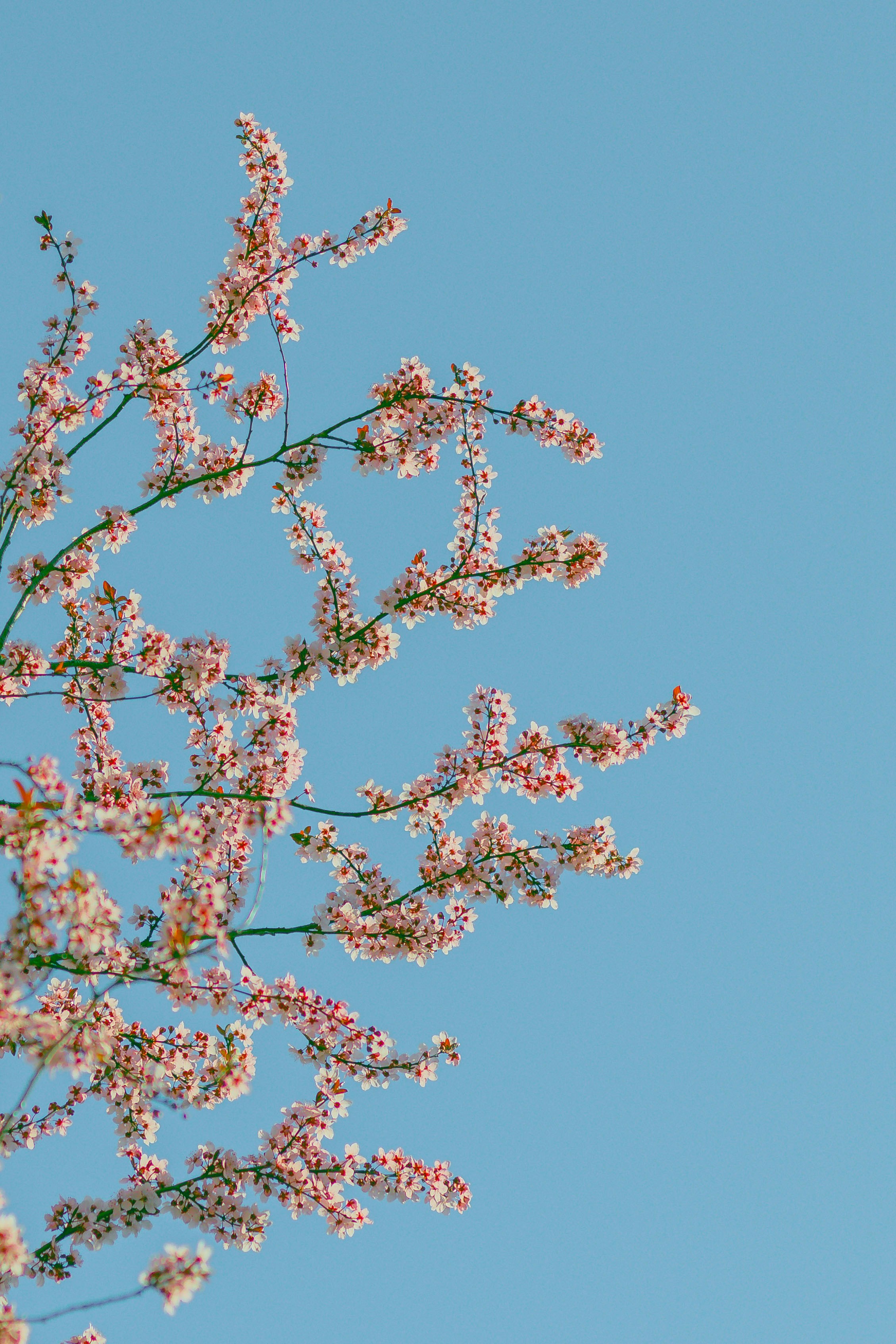 Photo by arlindphotography