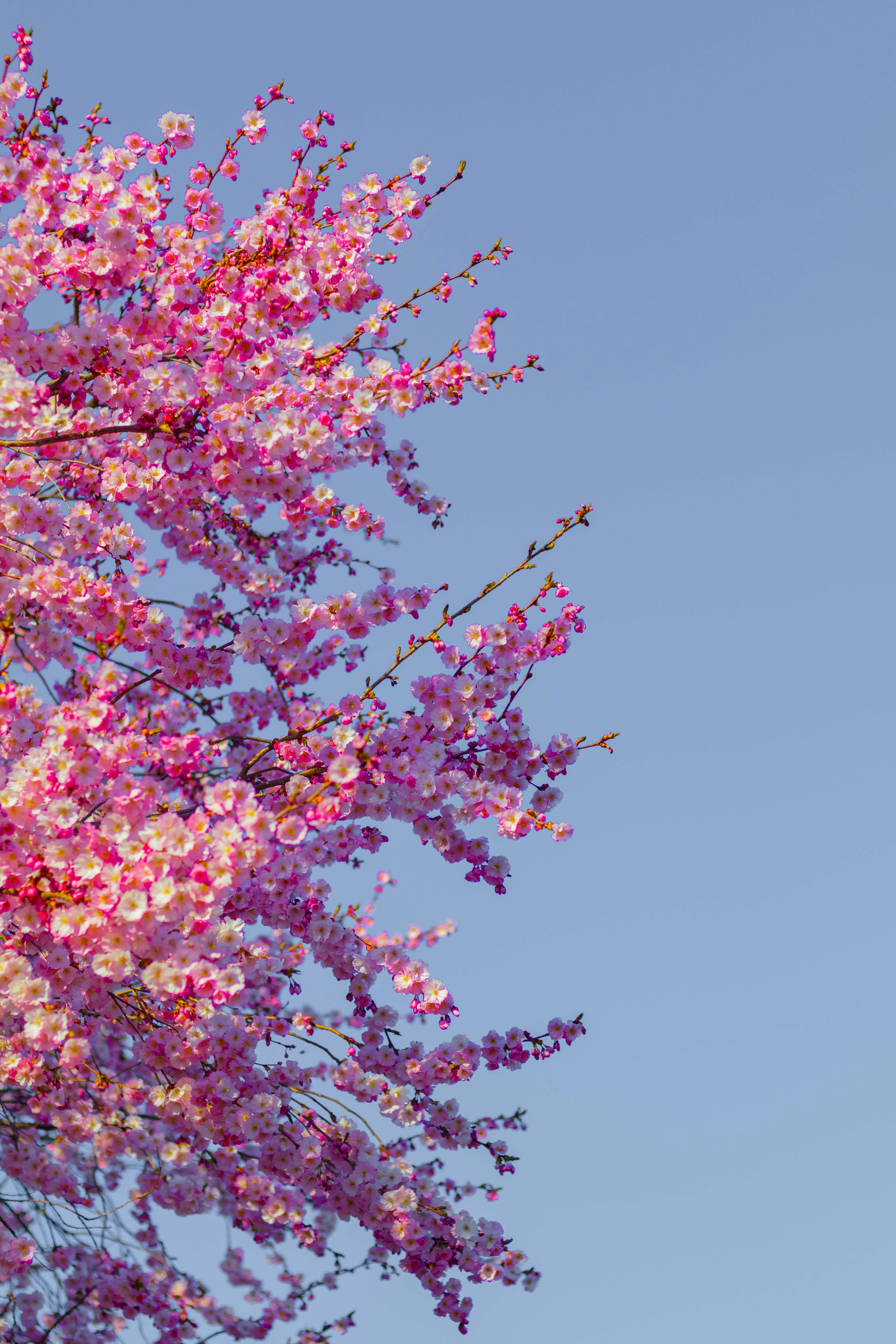 Photo by arlindphotography