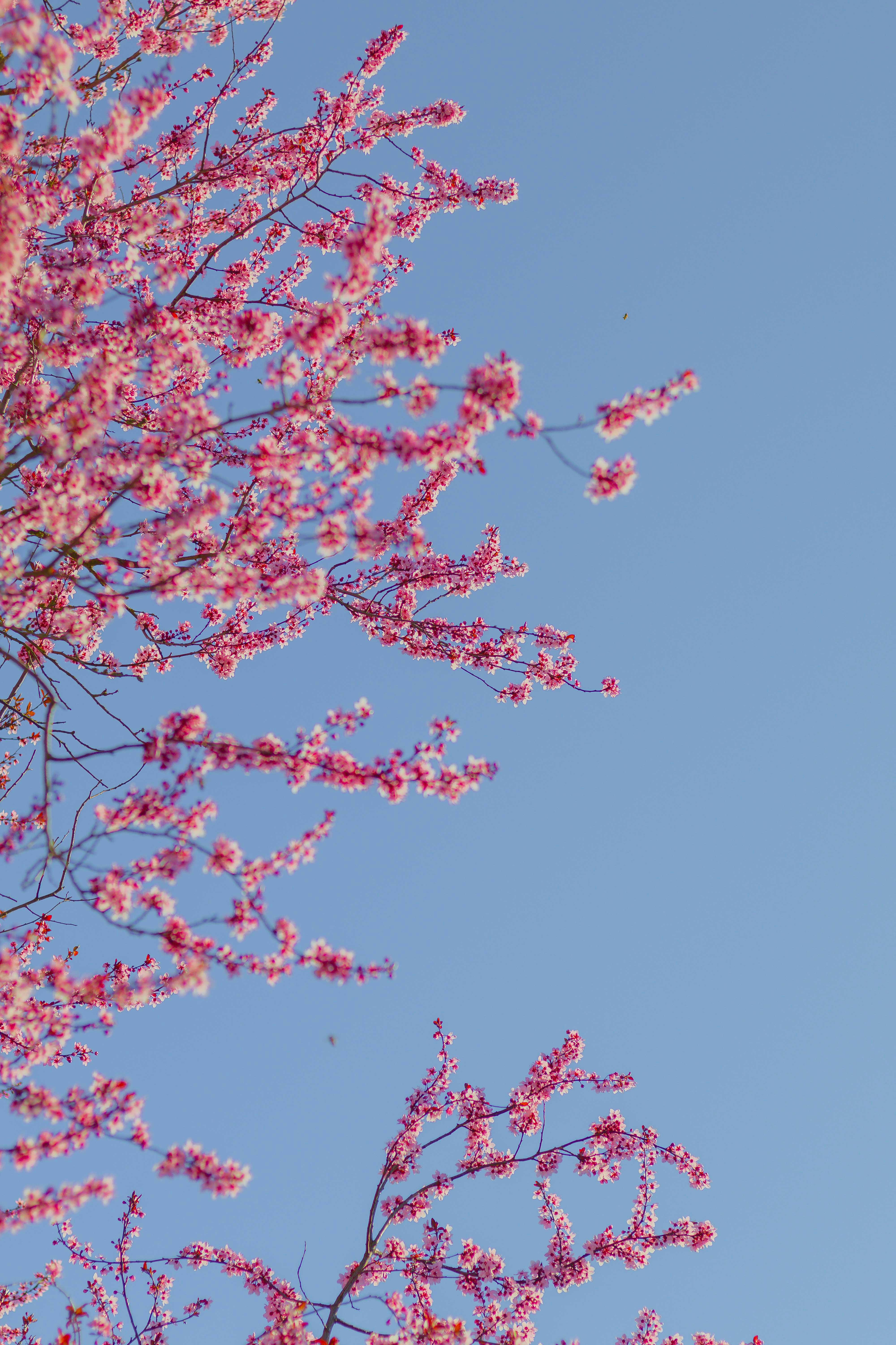 Photo by arlindphotography