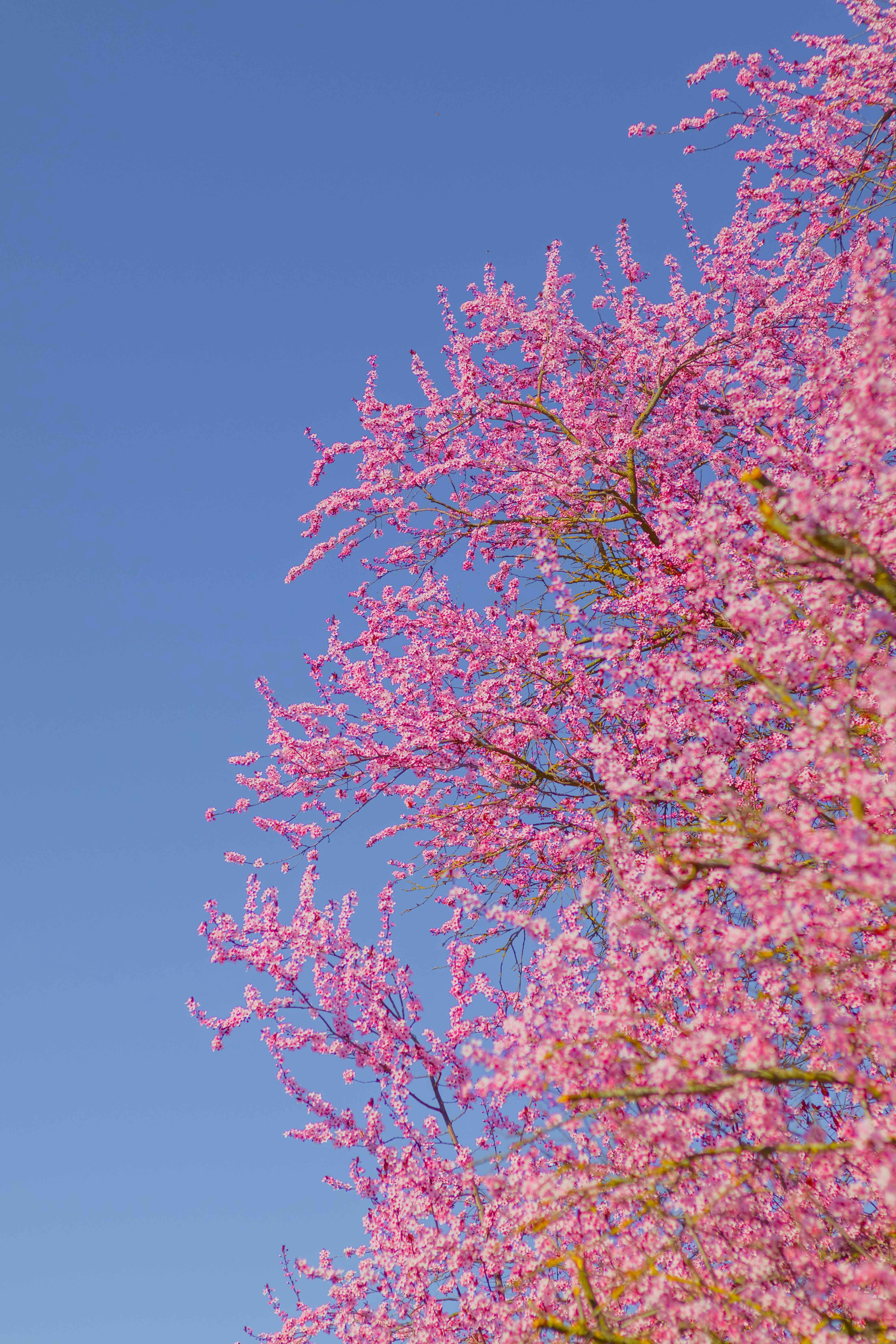 Photo by arlindphotography