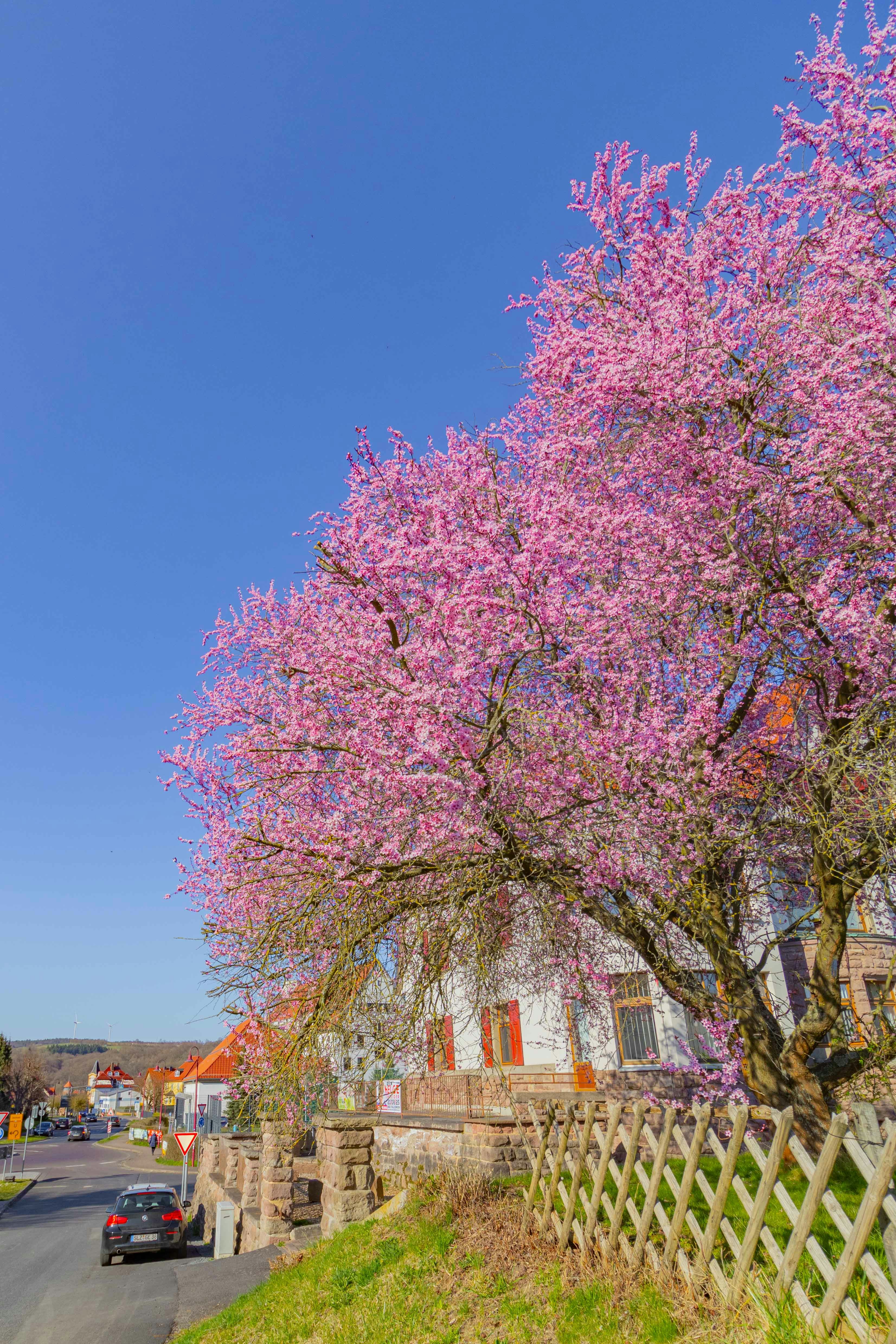 Photo by arlindphotography