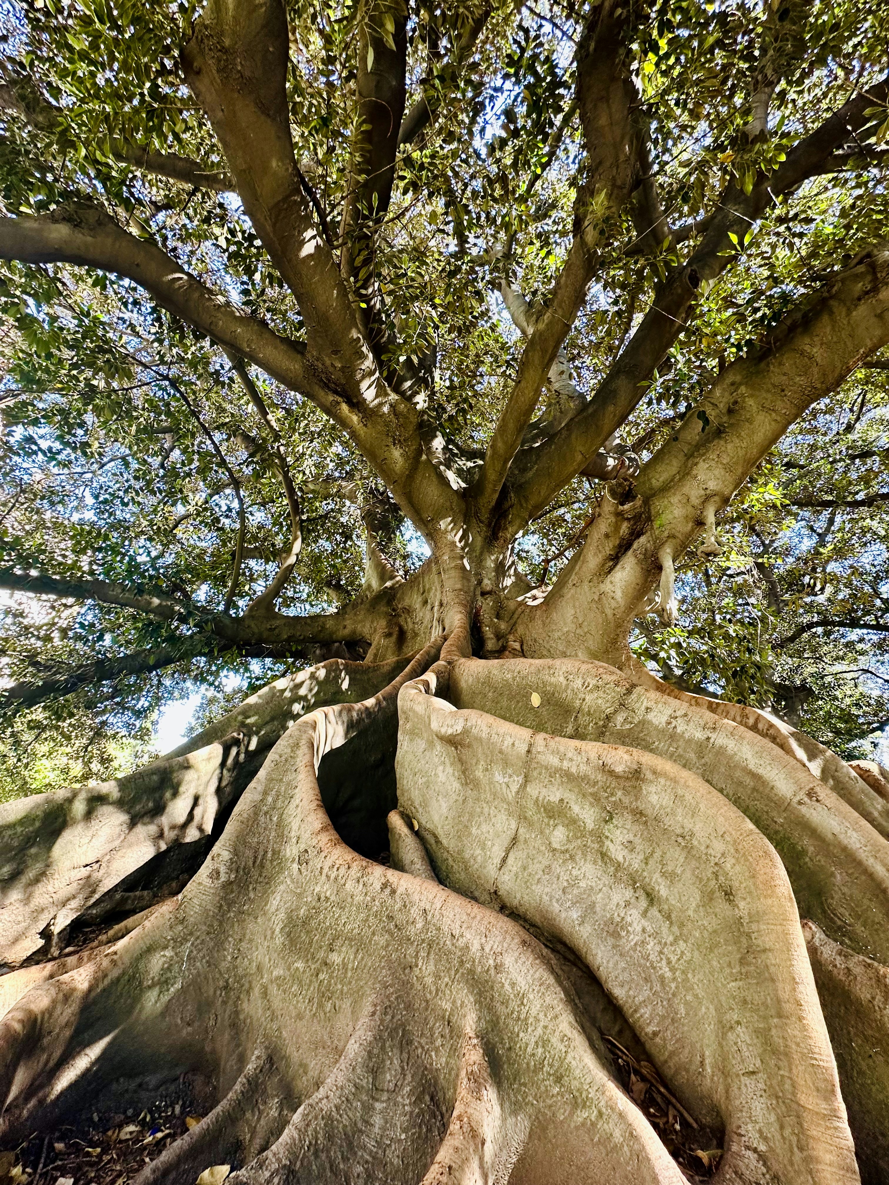 Photo by goosegrease