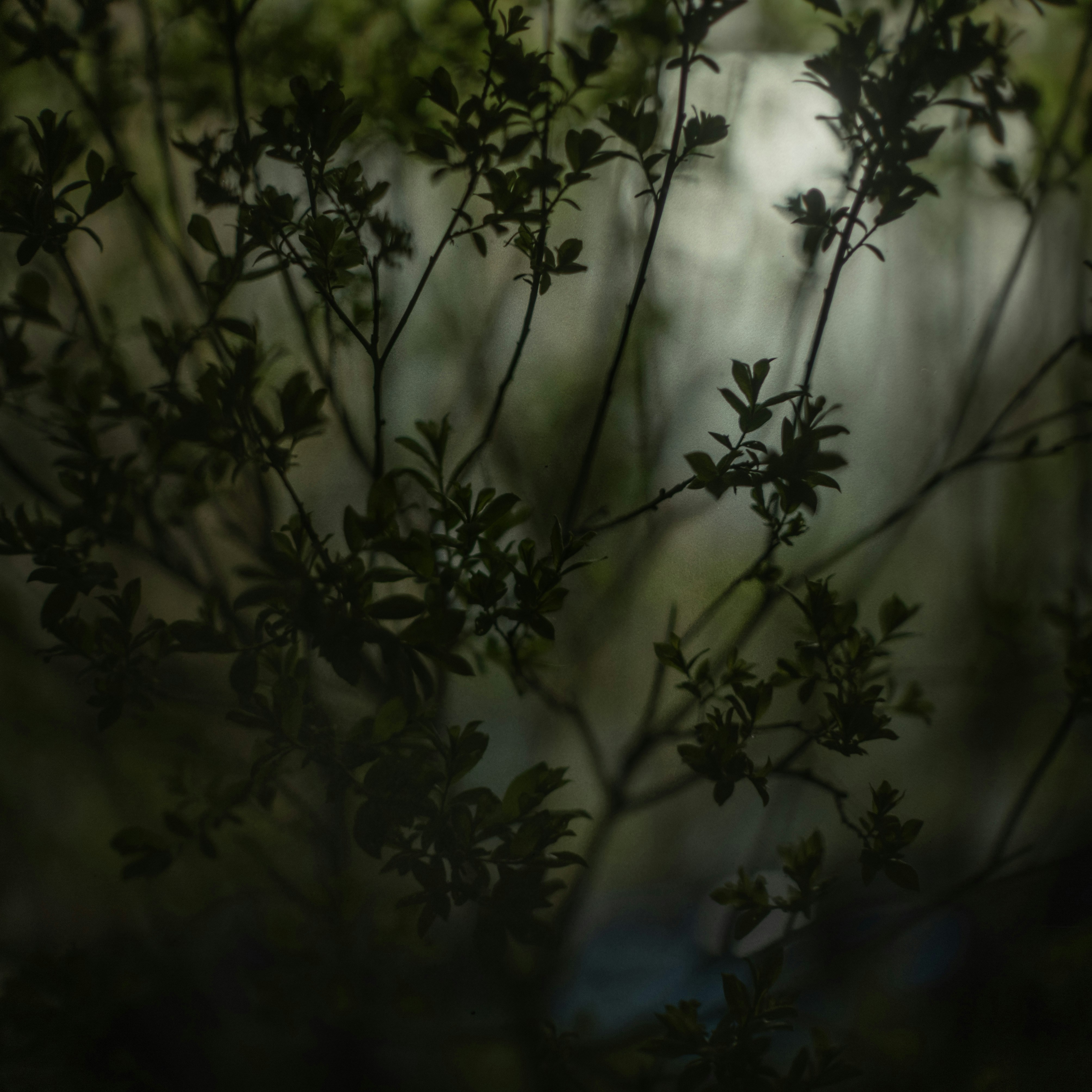 Photo by andrilliardbond