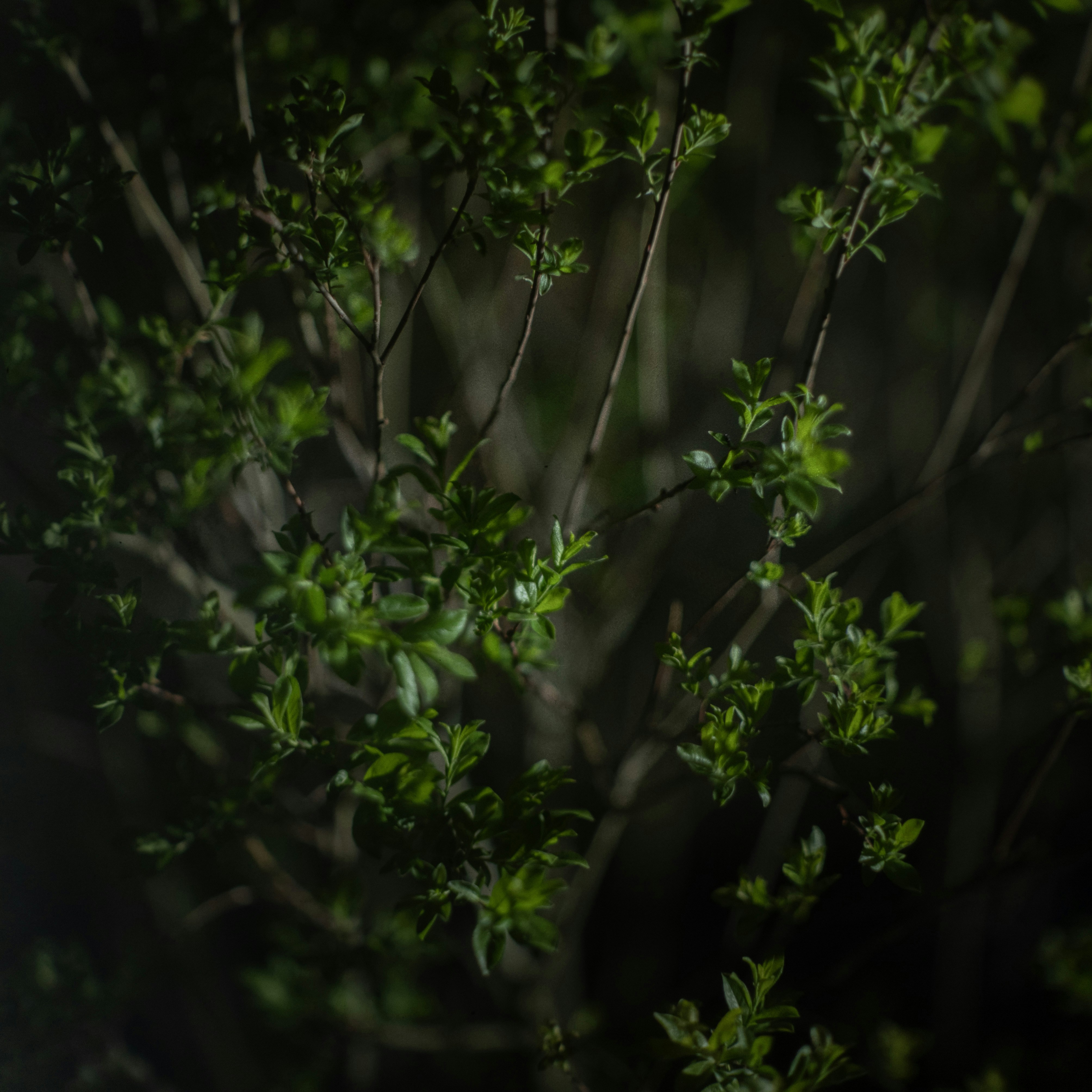 Photo by andrilliardbond