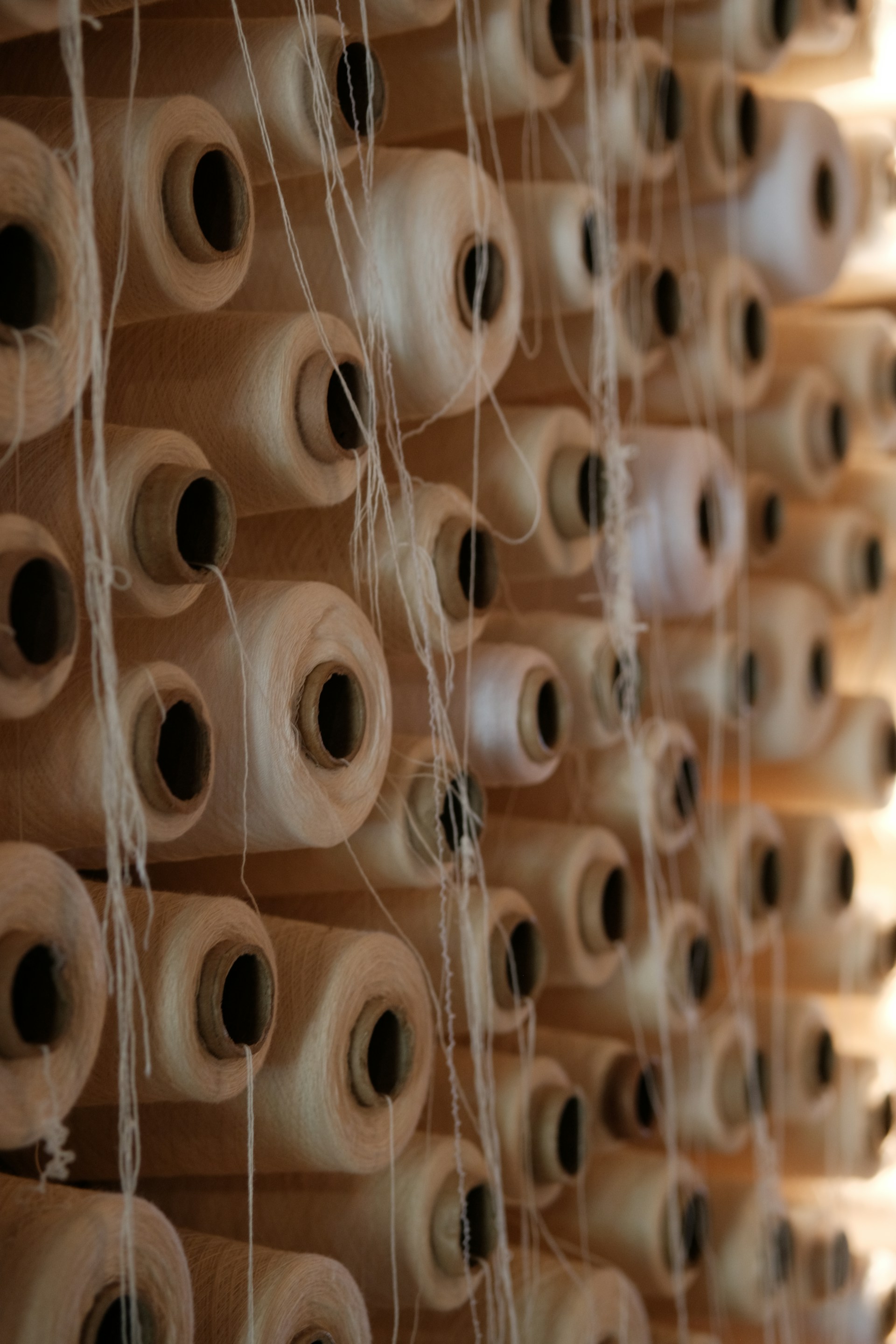 Spools of thread are stored on a wooden shelf.