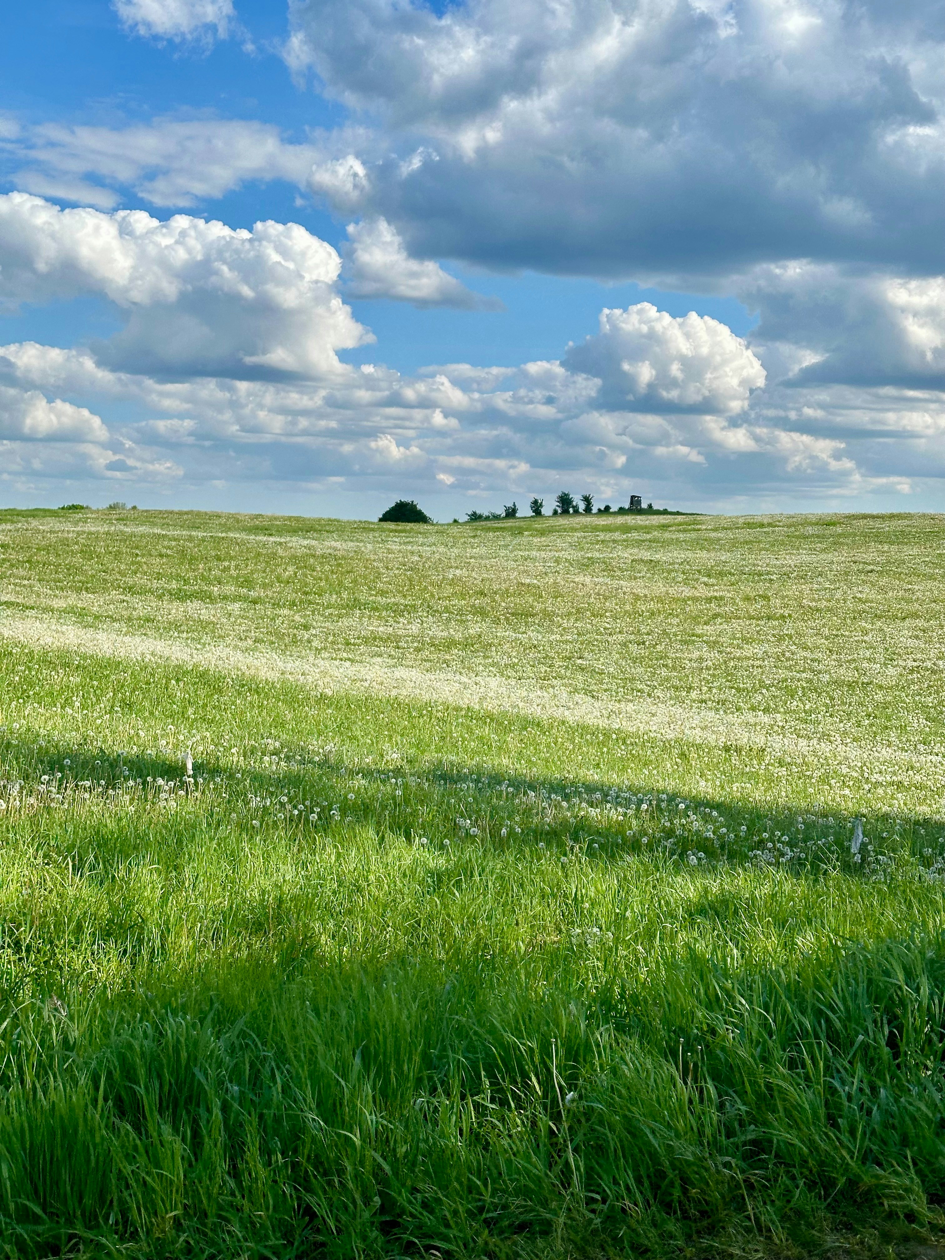 Photo by michuaintreal