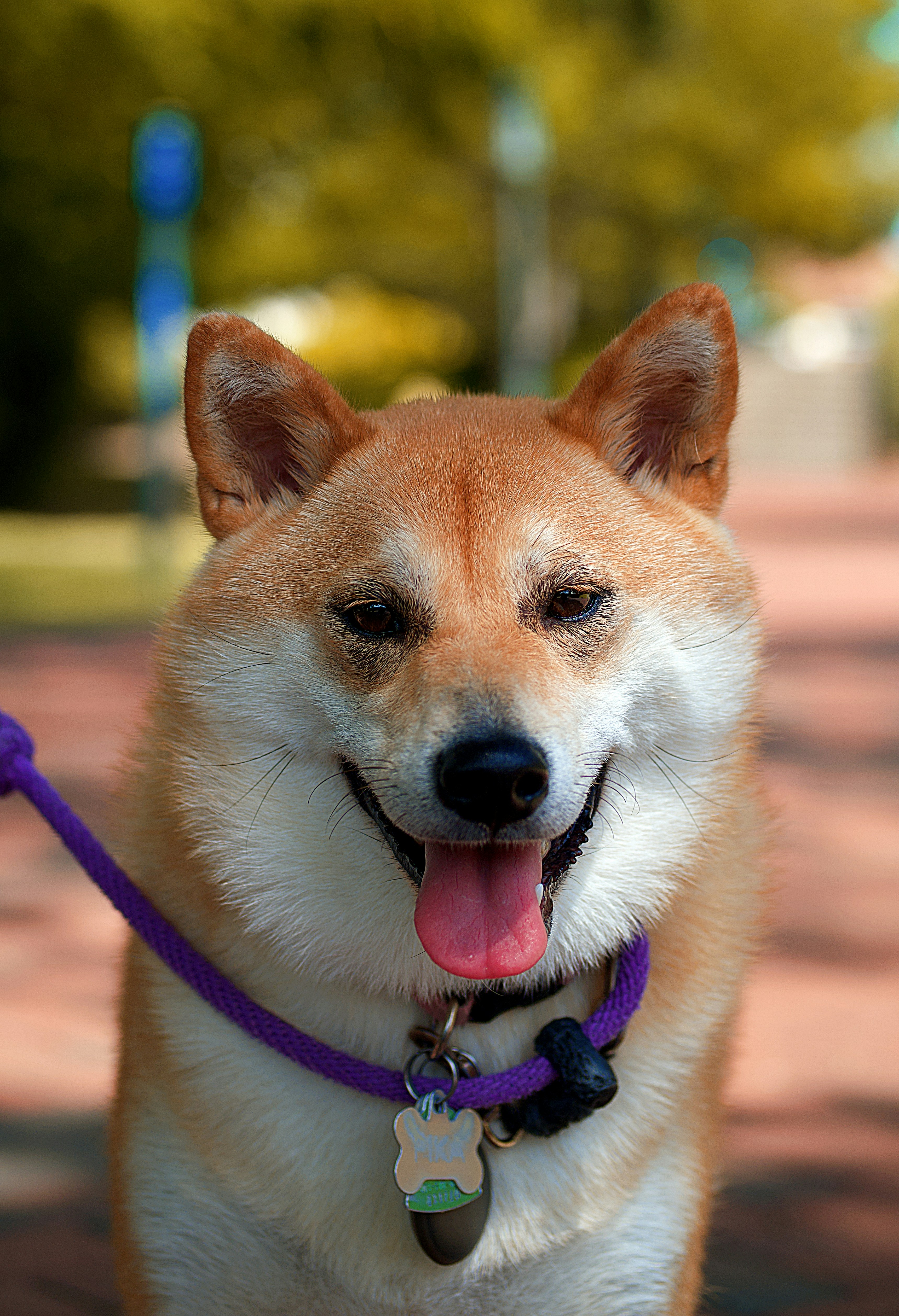 Photo by leiadakrozjhen