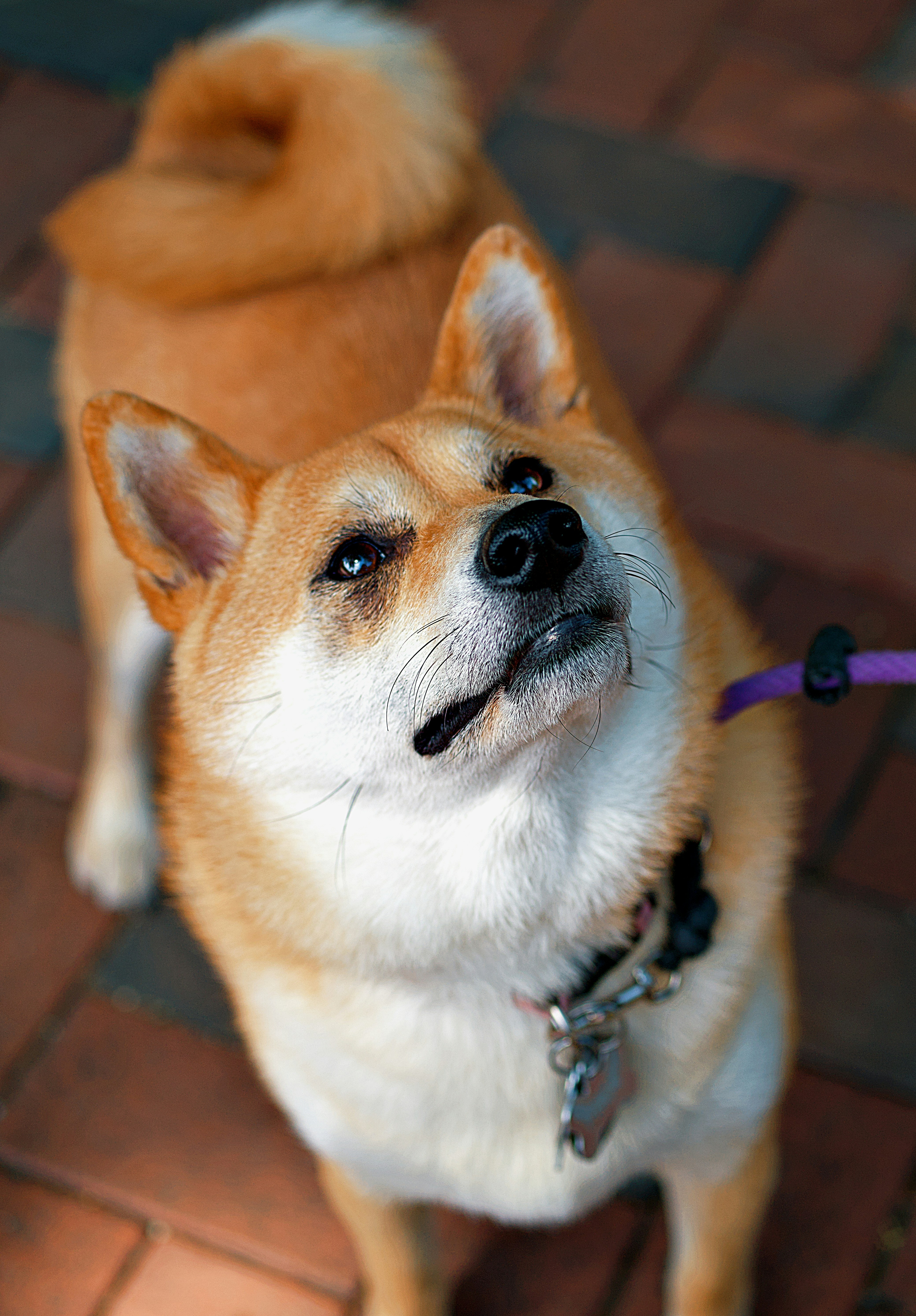 Photo by leiadakrozjhen