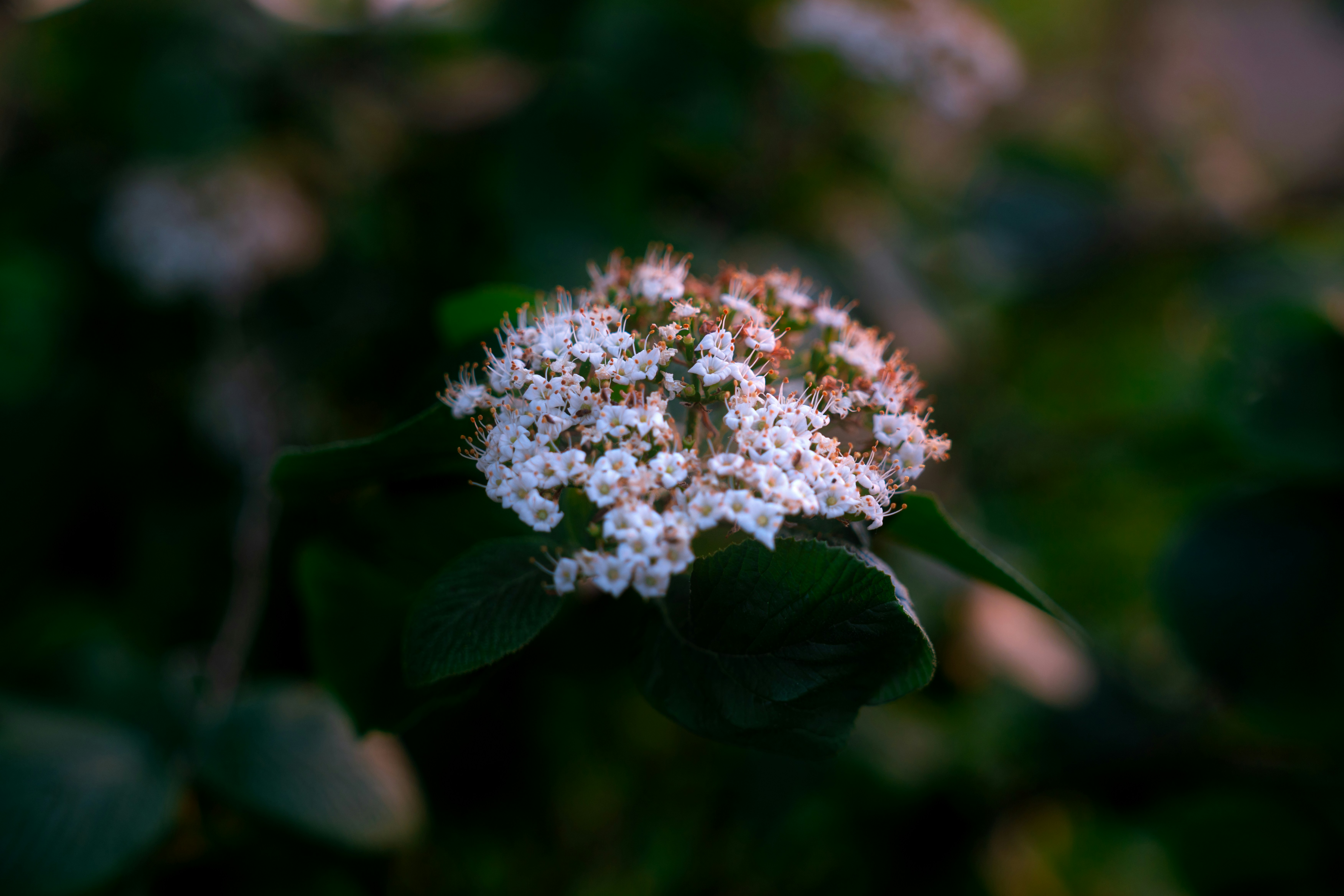 Photo by jonah_loeffler