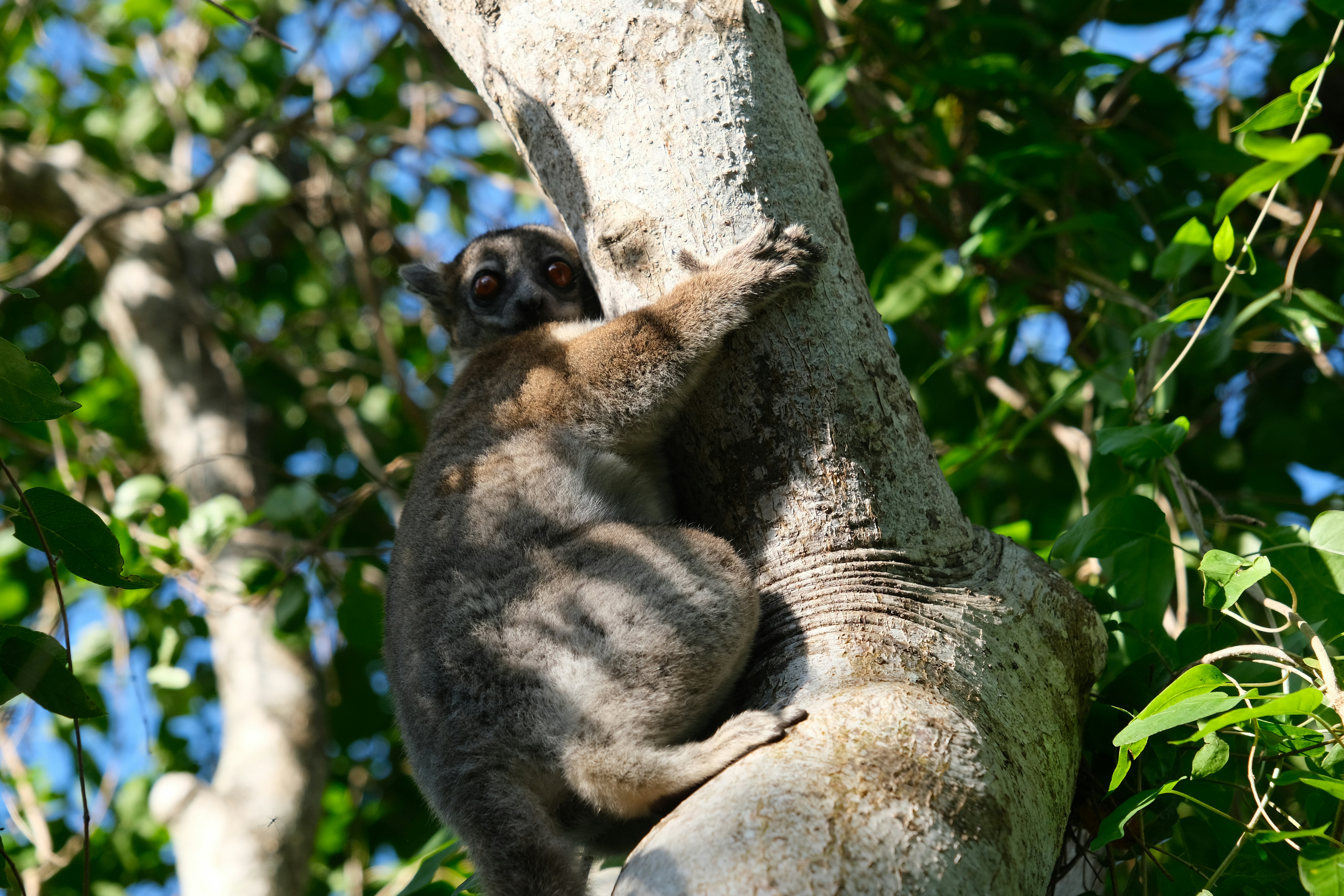 Ifaty – Neighborhoods & Urban Structure