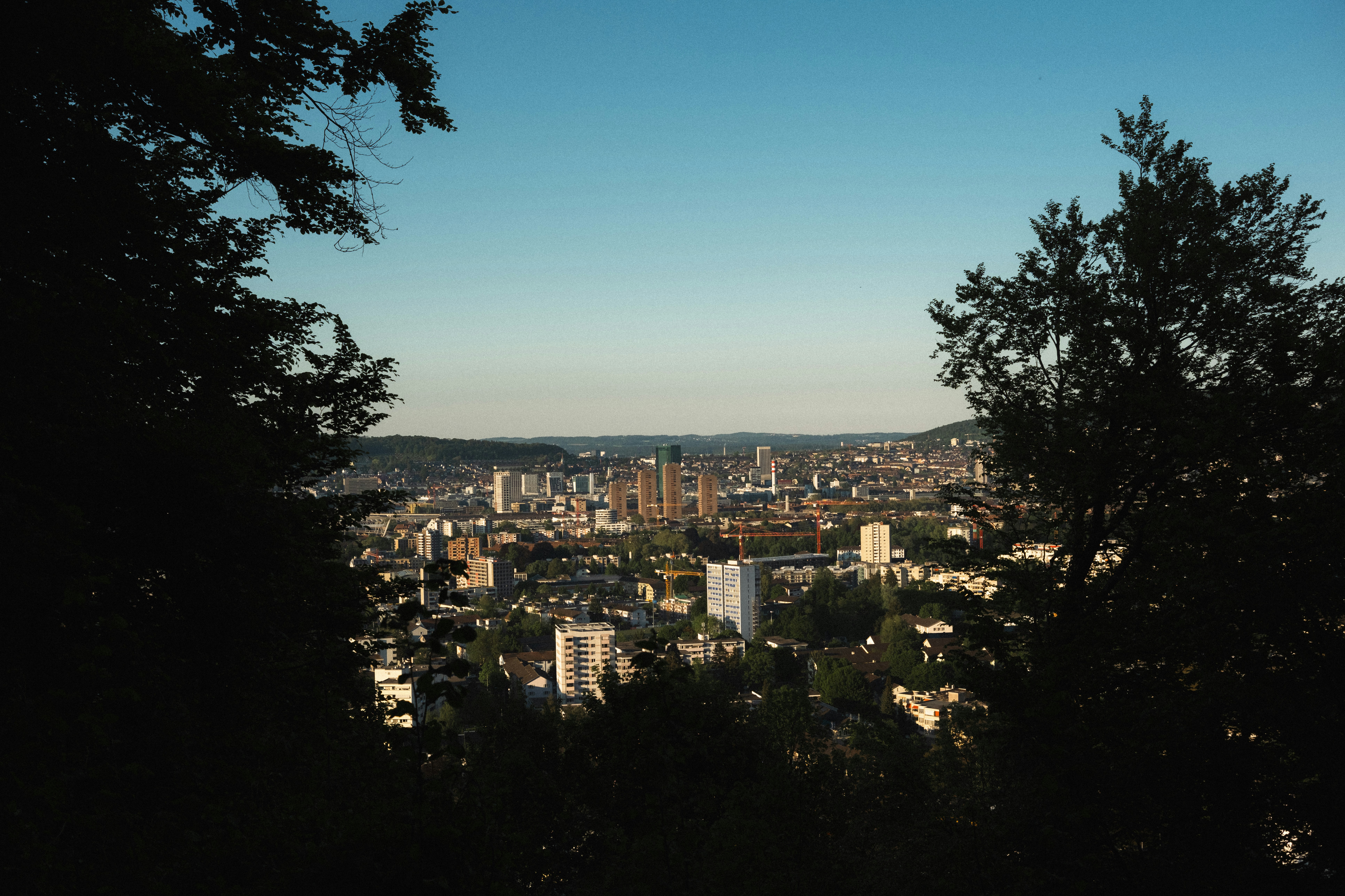 Photo by throughalekslens