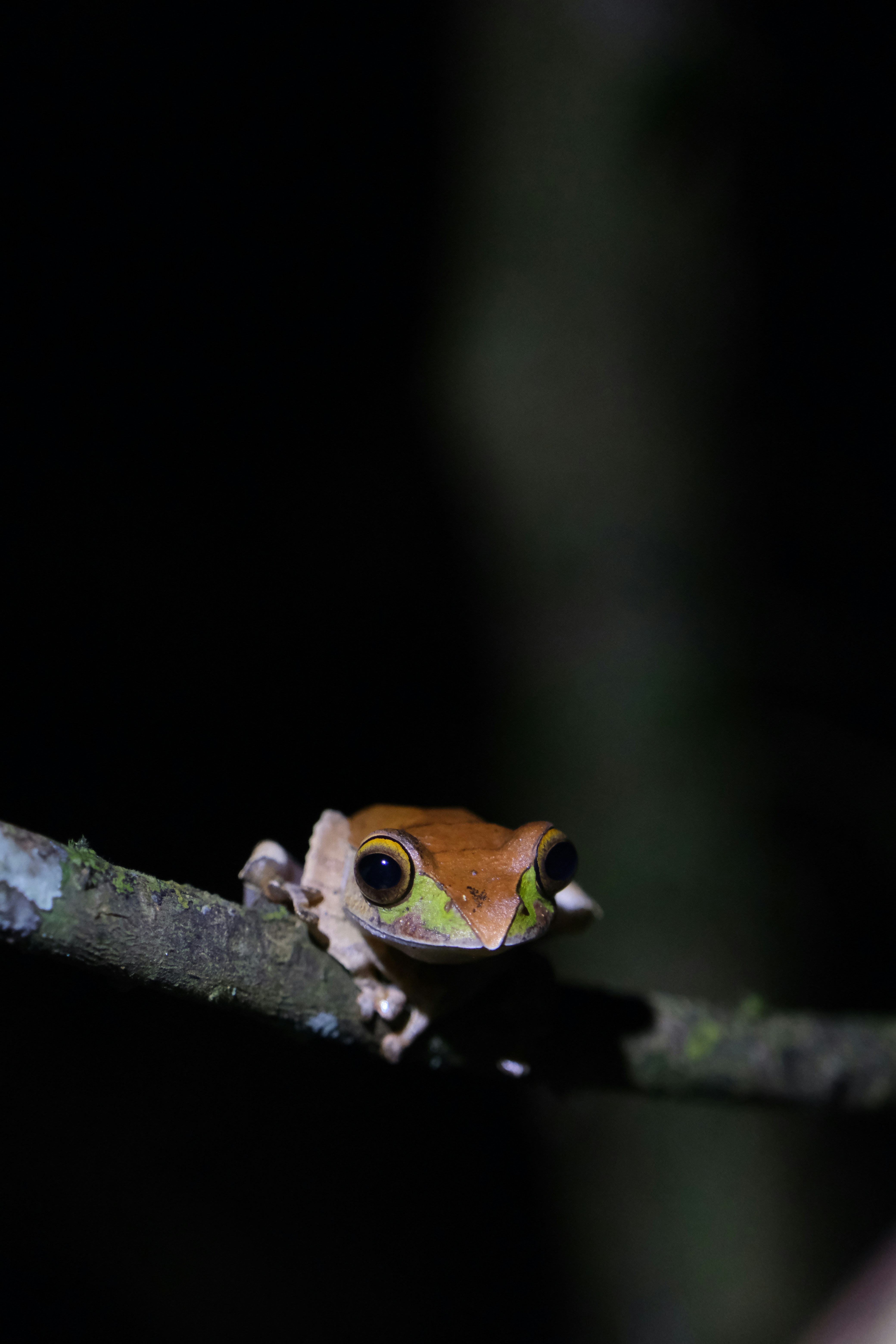 Photo by ingeborgkorme