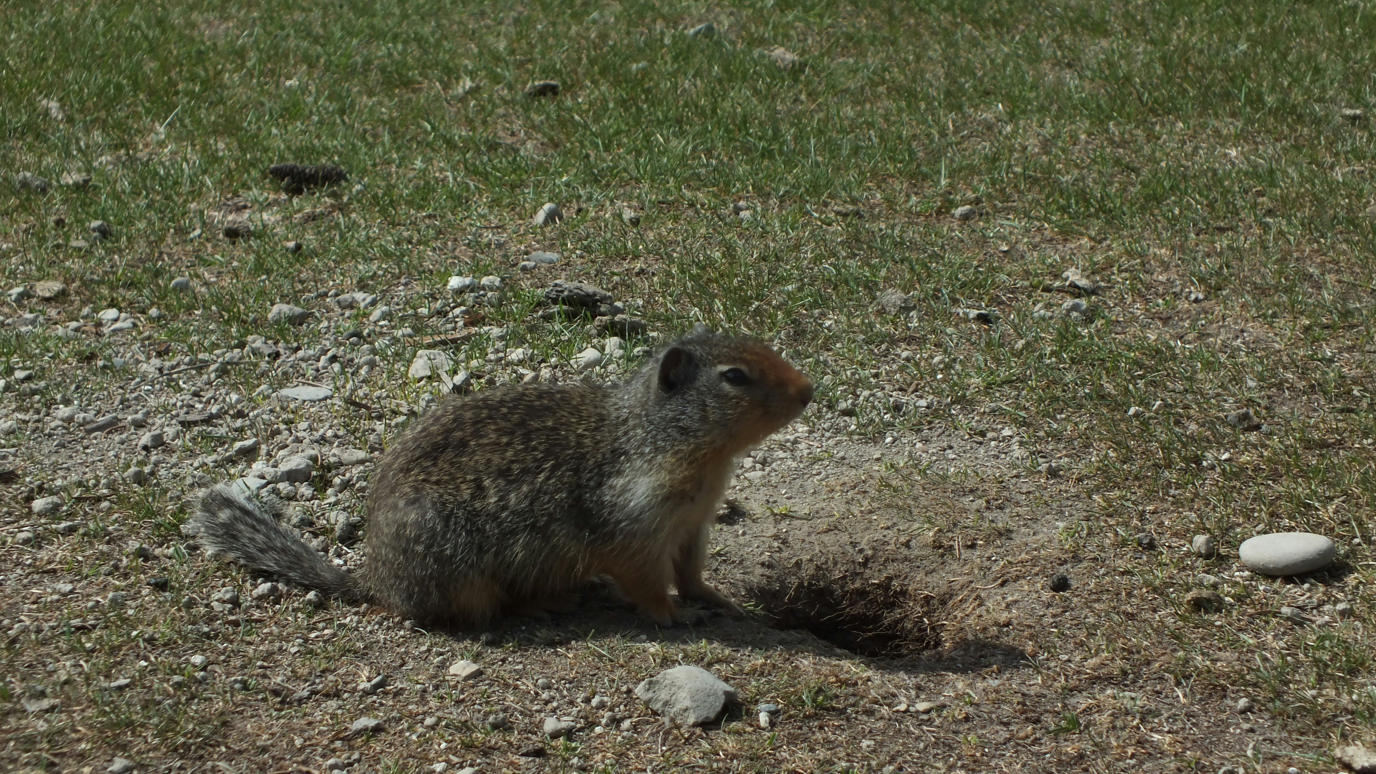 Photo by dylanrichard