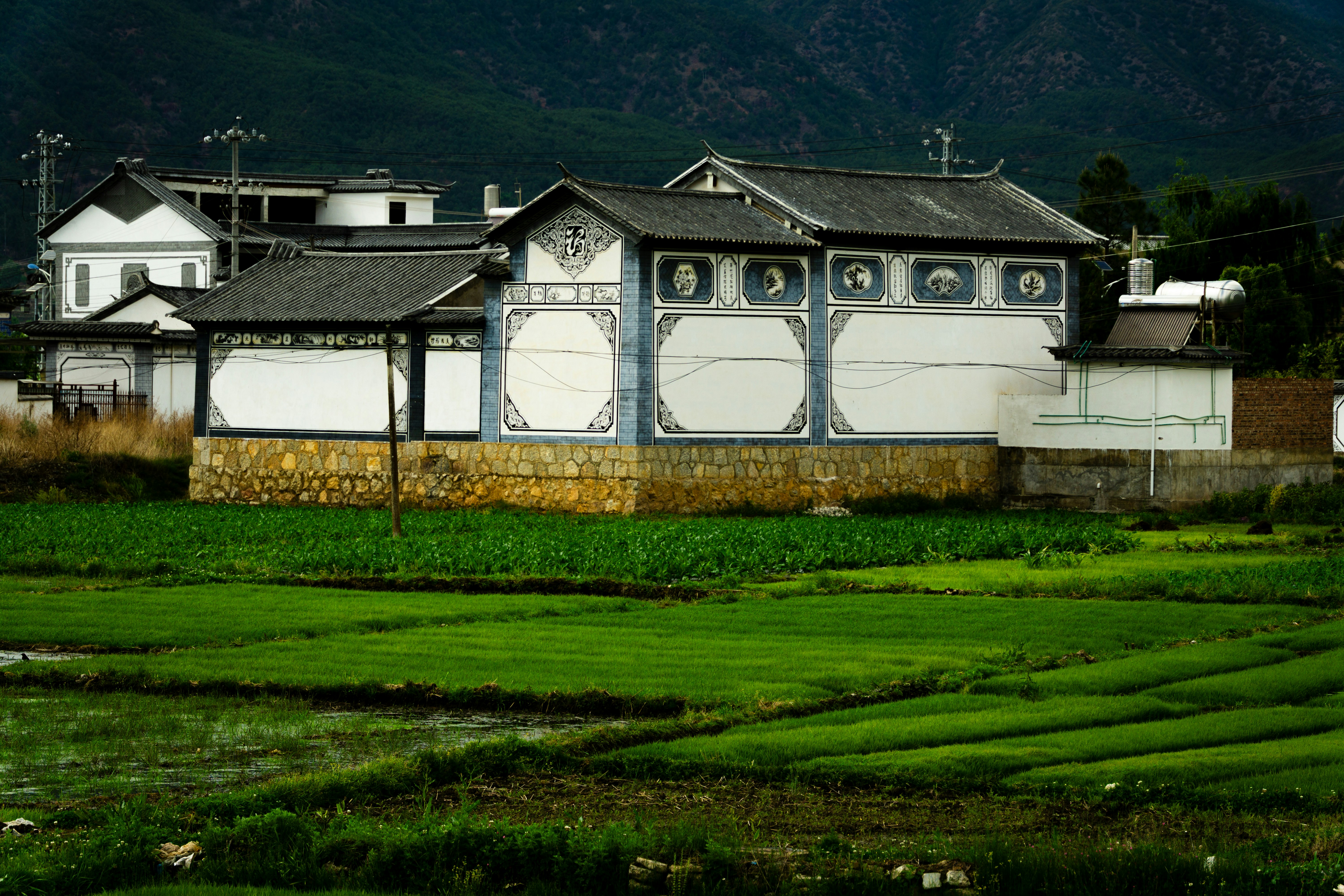 Fertilizer production facility