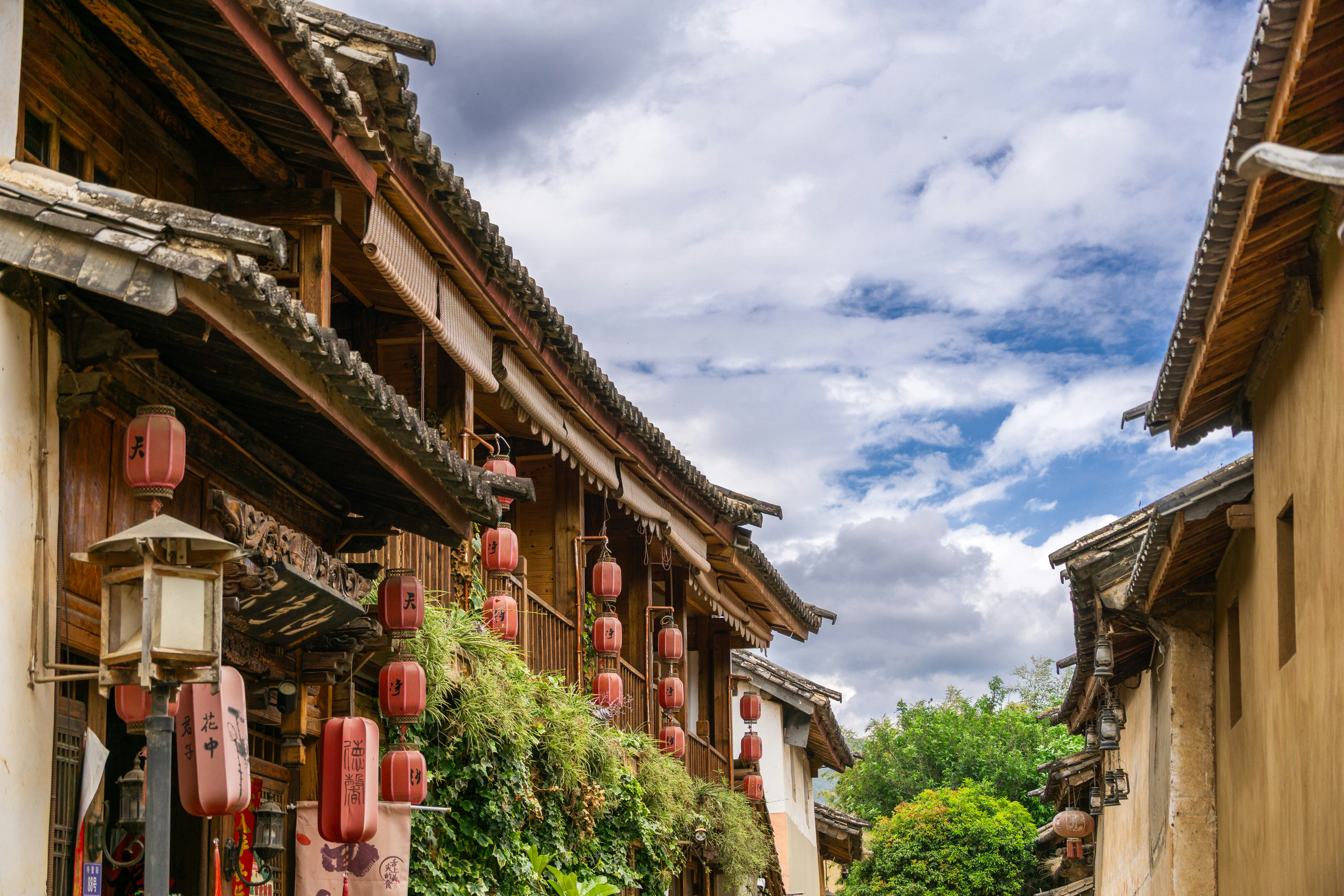 Photo by plasticine66