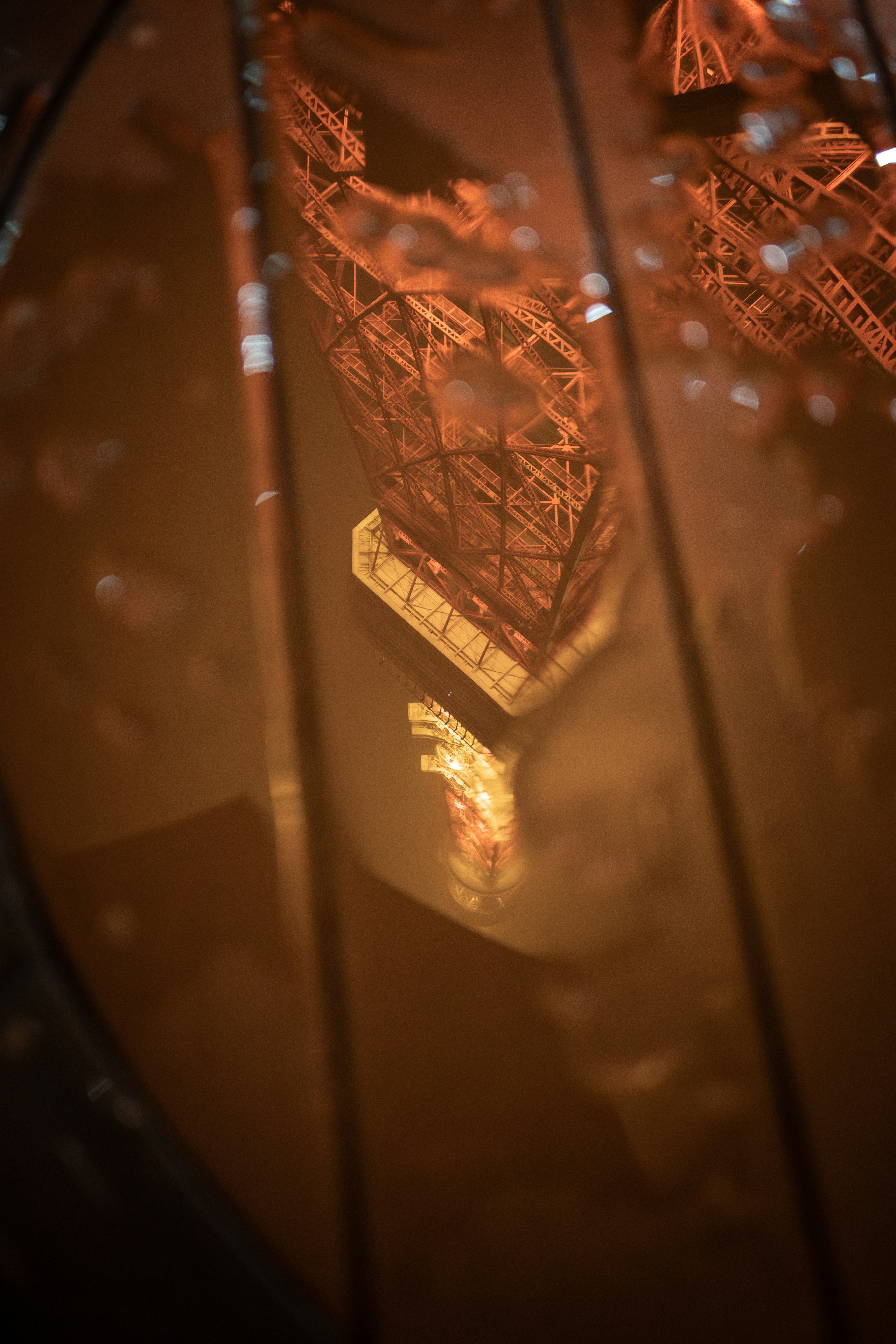 Photo by neko_ha_inu