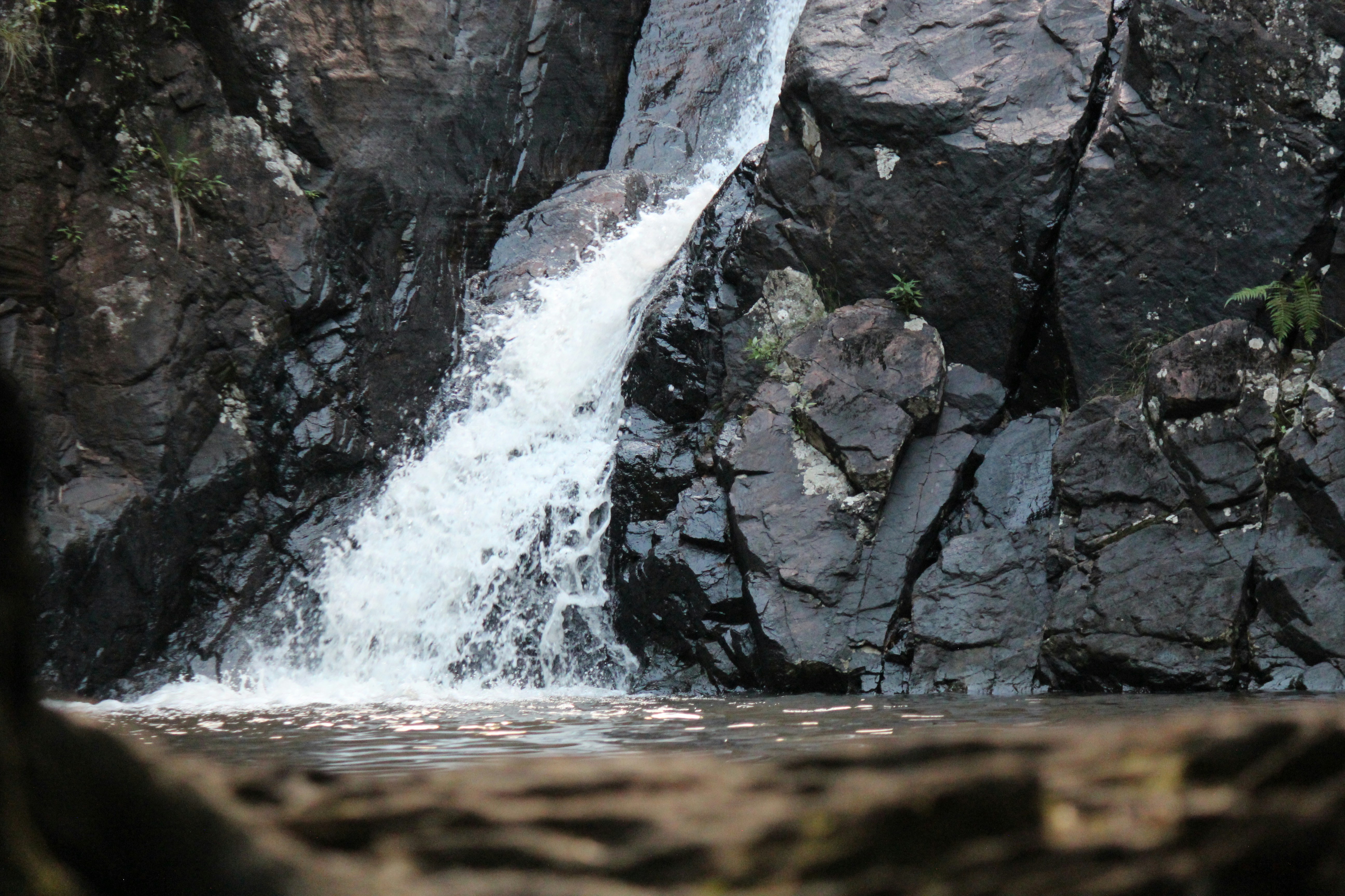 Photo by dm_photography_sc