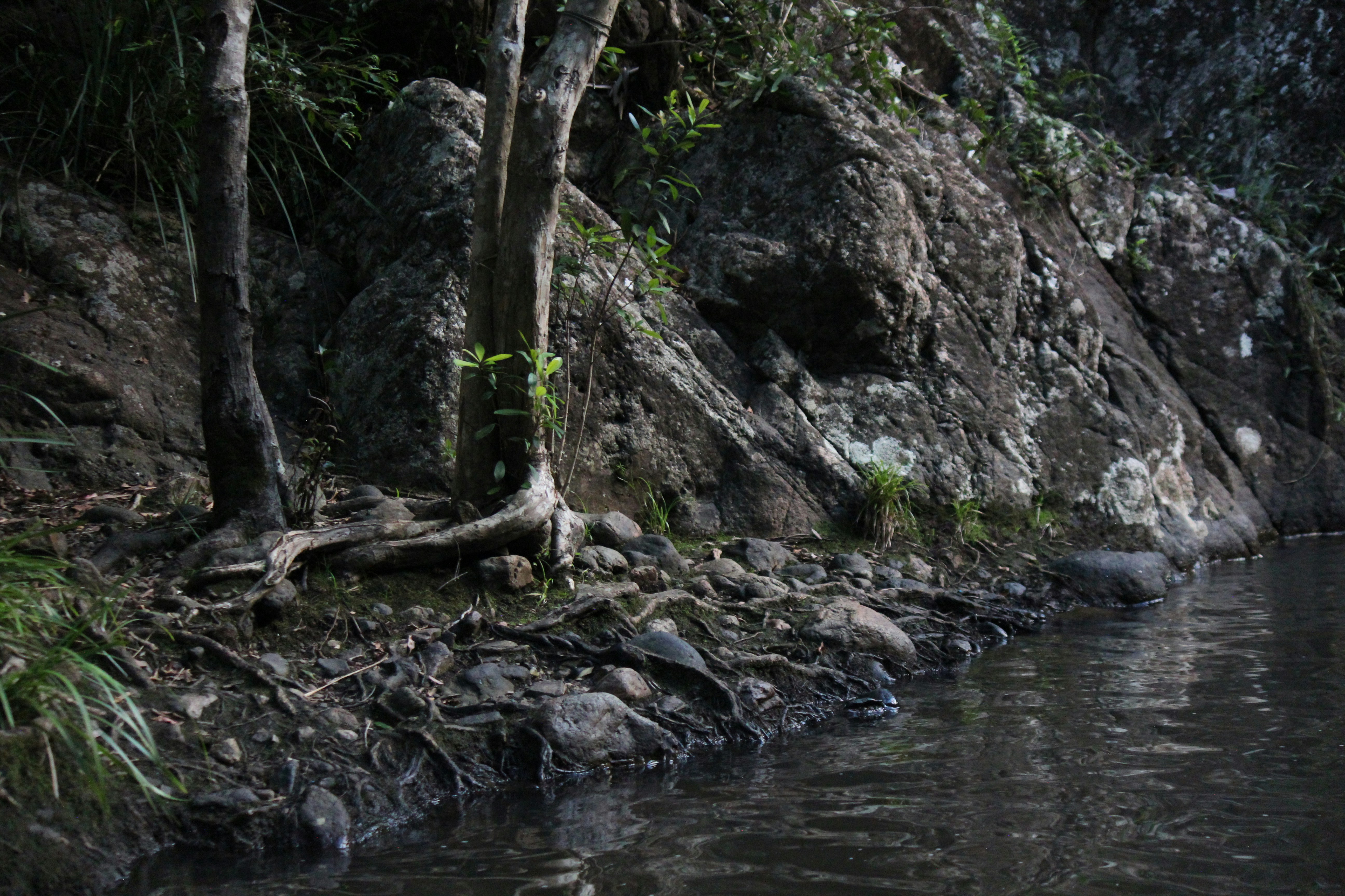 Photo by dm_photography_sc